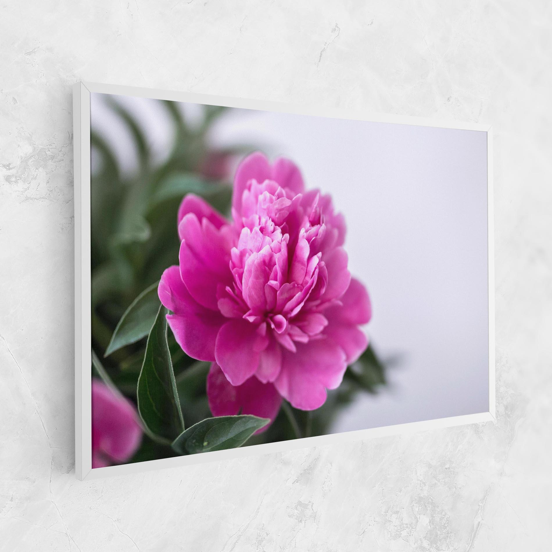 Картина на платно Dark Pink Peony mockup 1