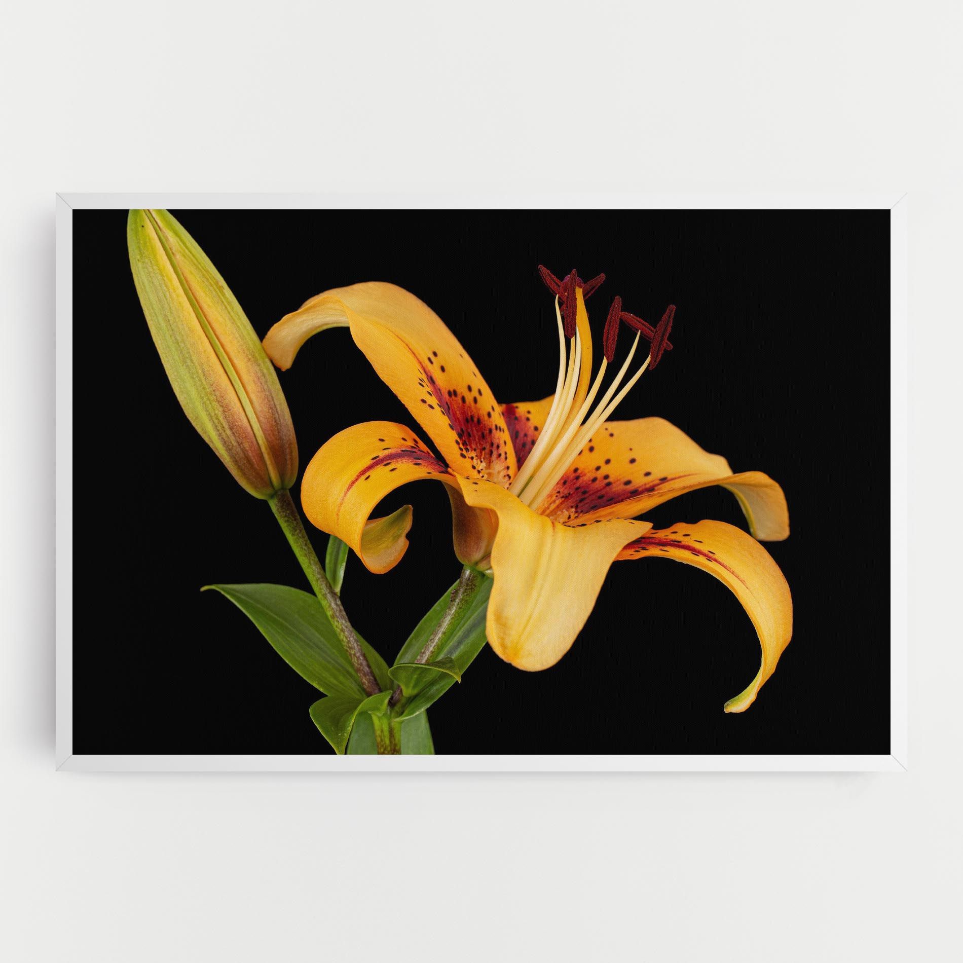 Beautiful Yellow Lily mockup 0