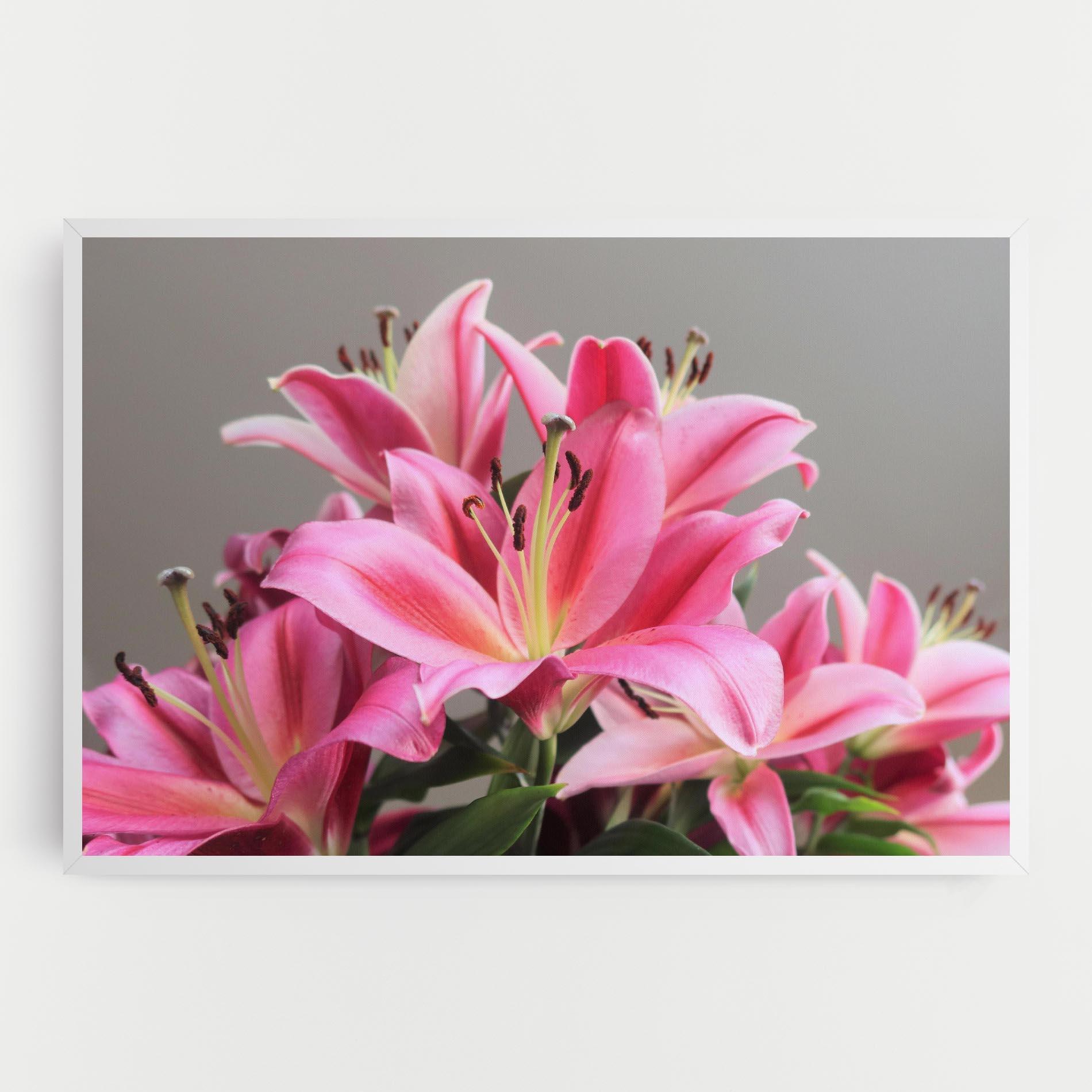Картина на платно Light Pink Lily View mockup 0