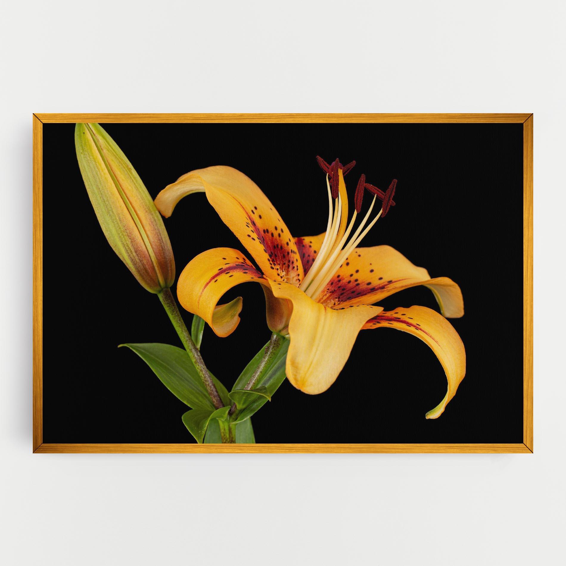 Картина на платно Beautiful Yellow Lily mockup 0