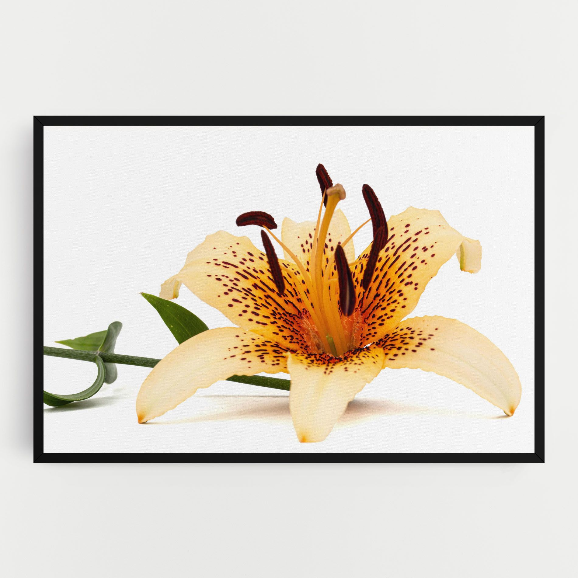 Big Yellow Lily mockup 0