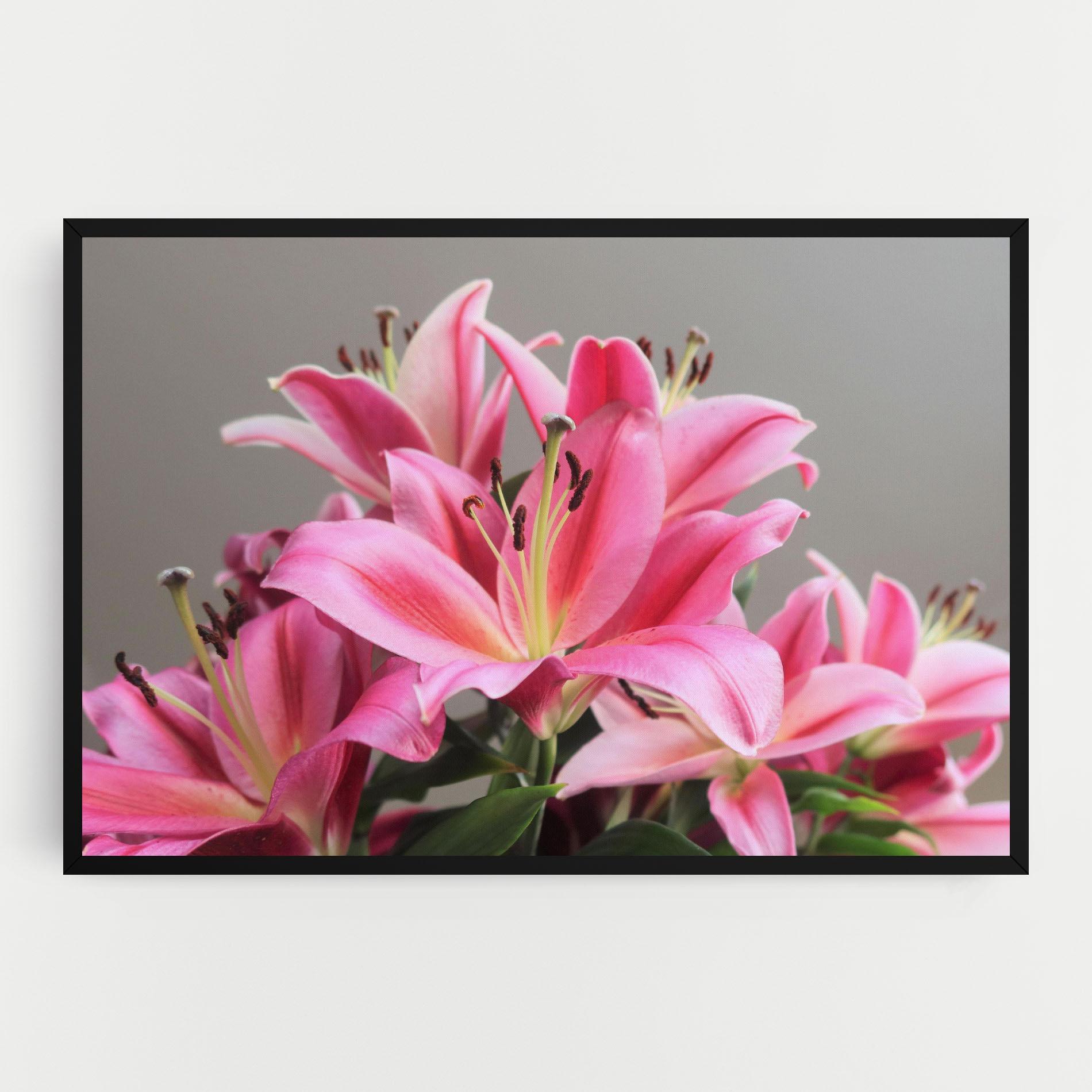 Картина на платно Light Pink Lily View mockup 0