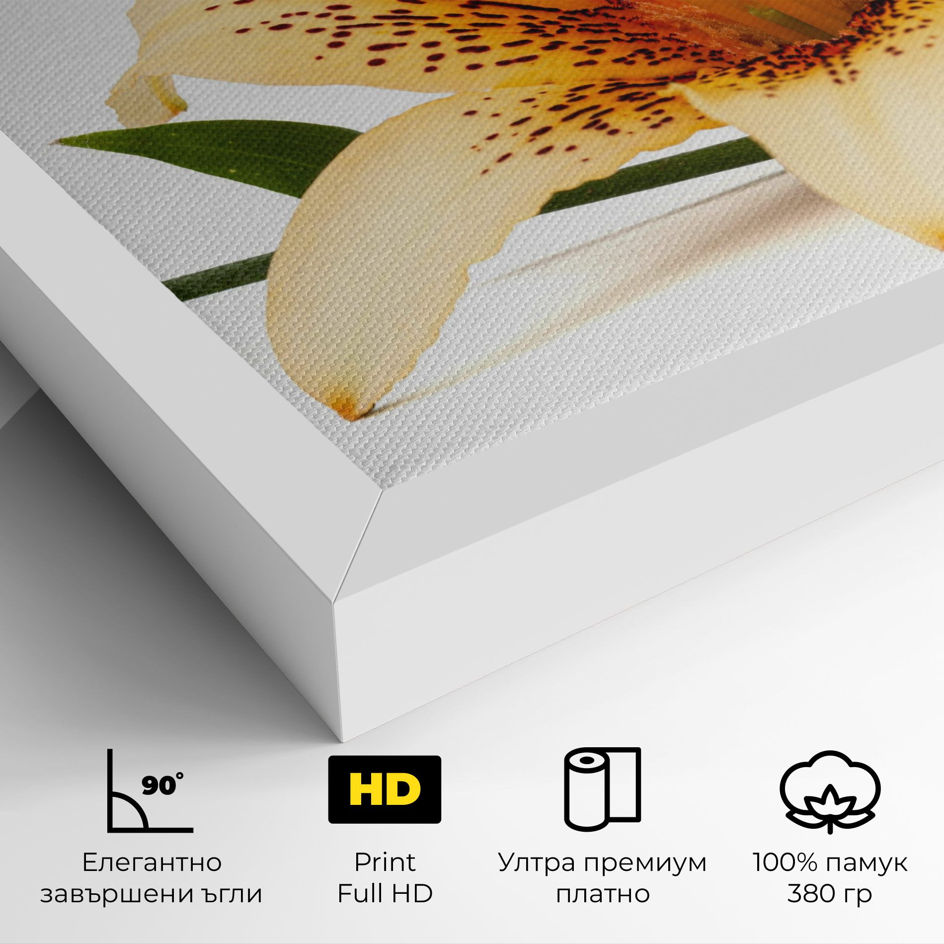 Big Yellow Lily mockup 4