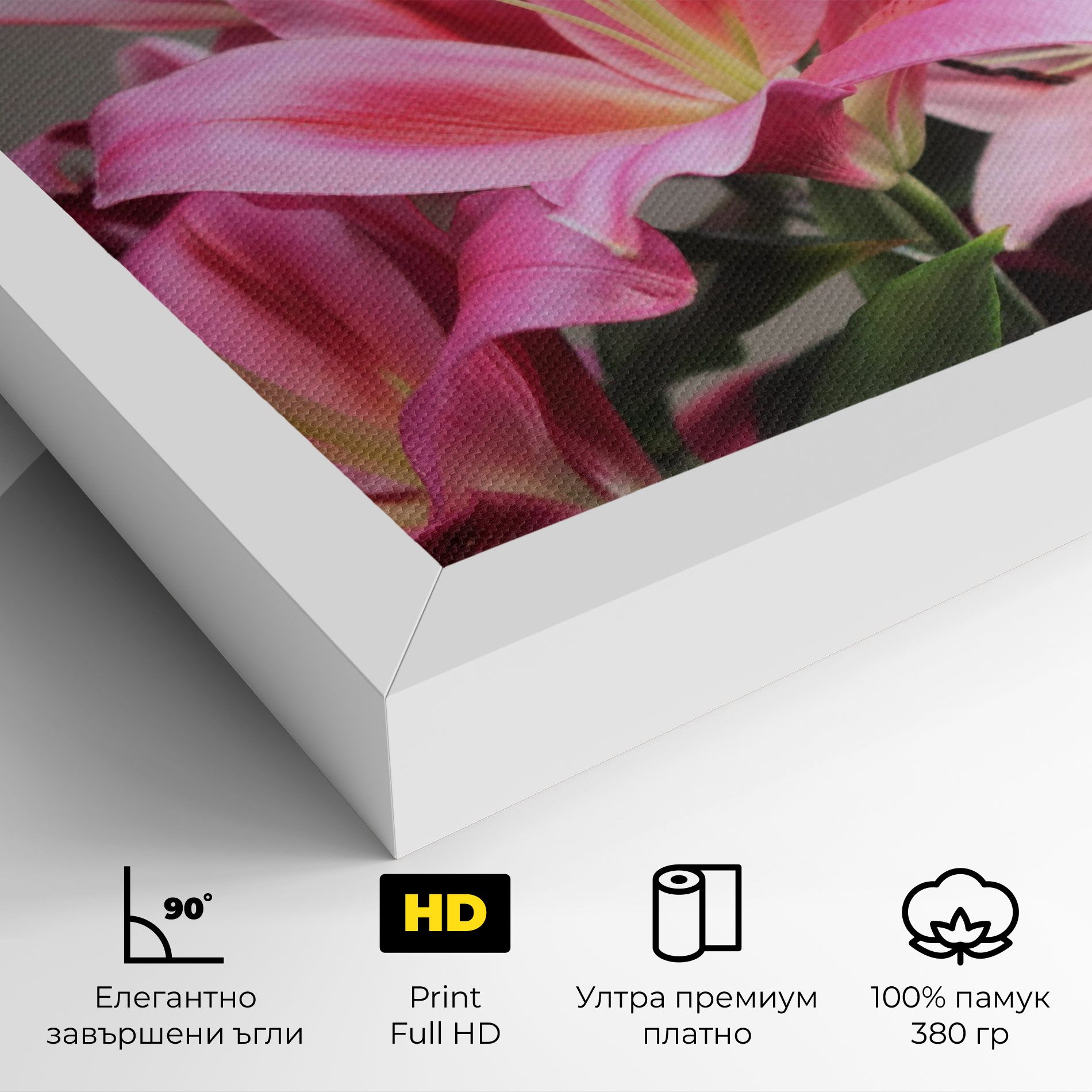 Light Pink Lily View mockup 4