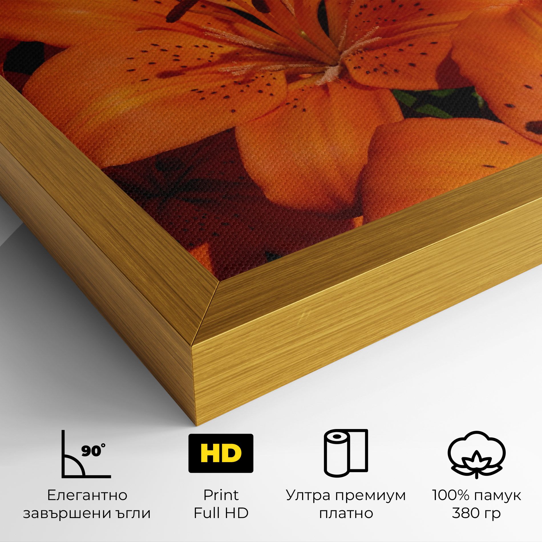 Orange Lily In The Sun mockup 4