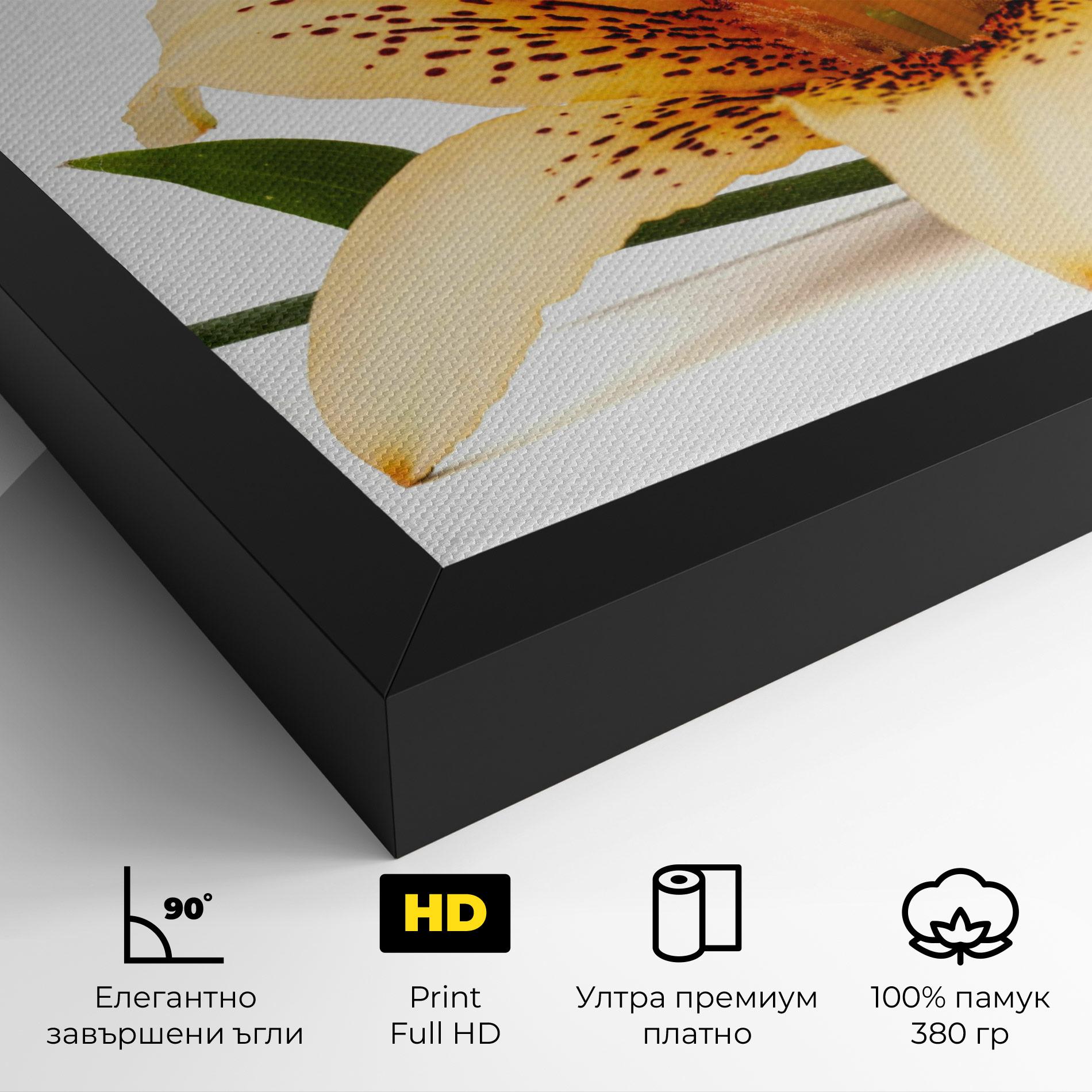 Картина на платно Big Yellow Lily mockup 4