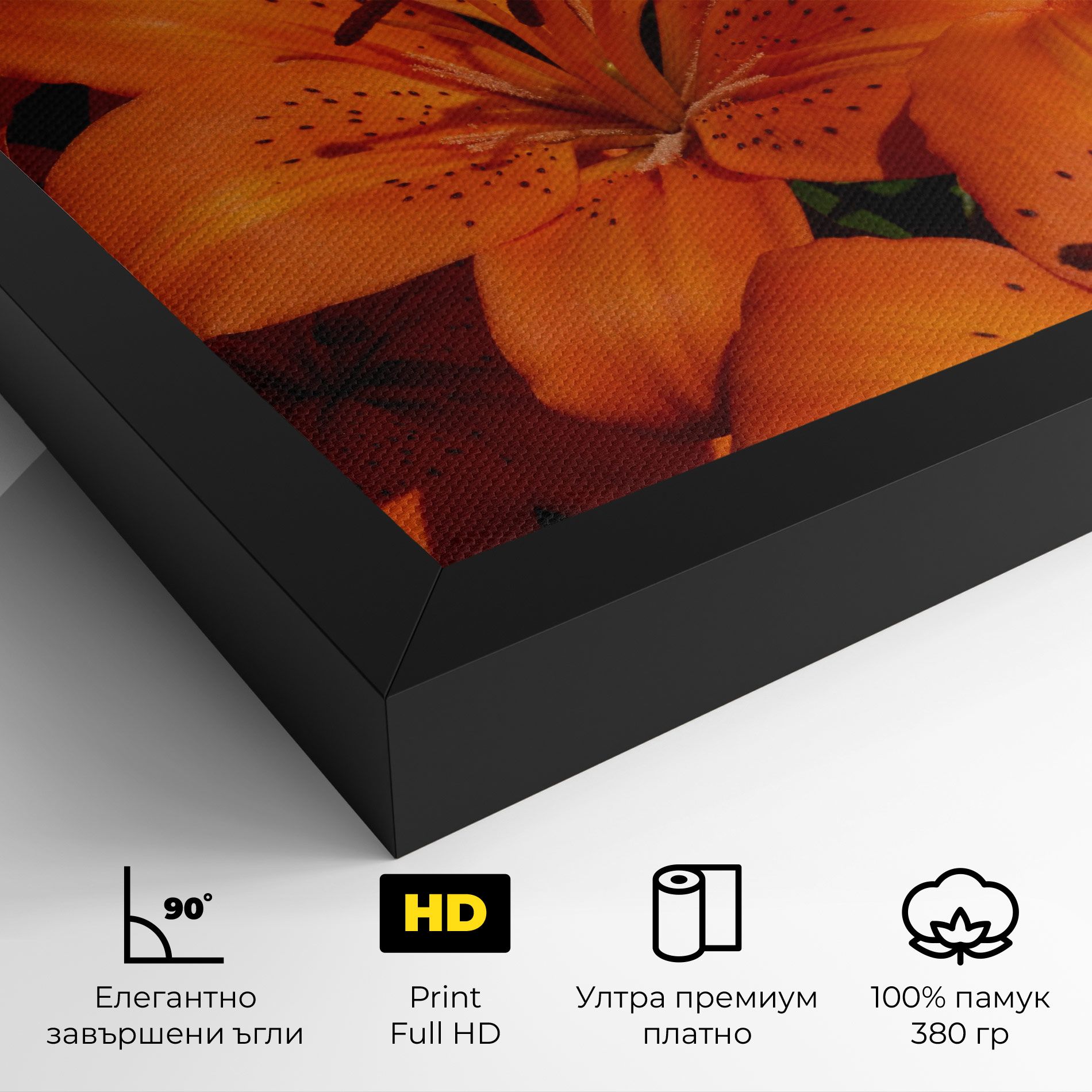 Orange Lily In The Sun mockup 4