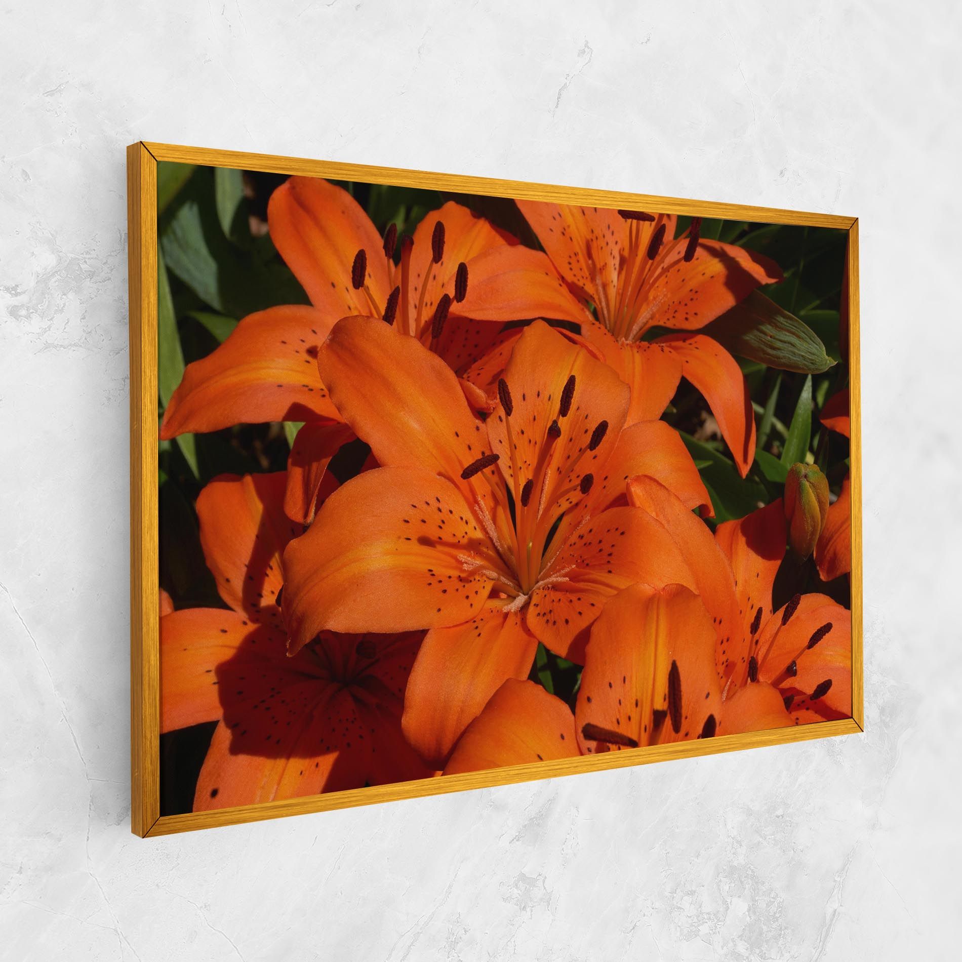 Orange Lily In The Sun mockup 1