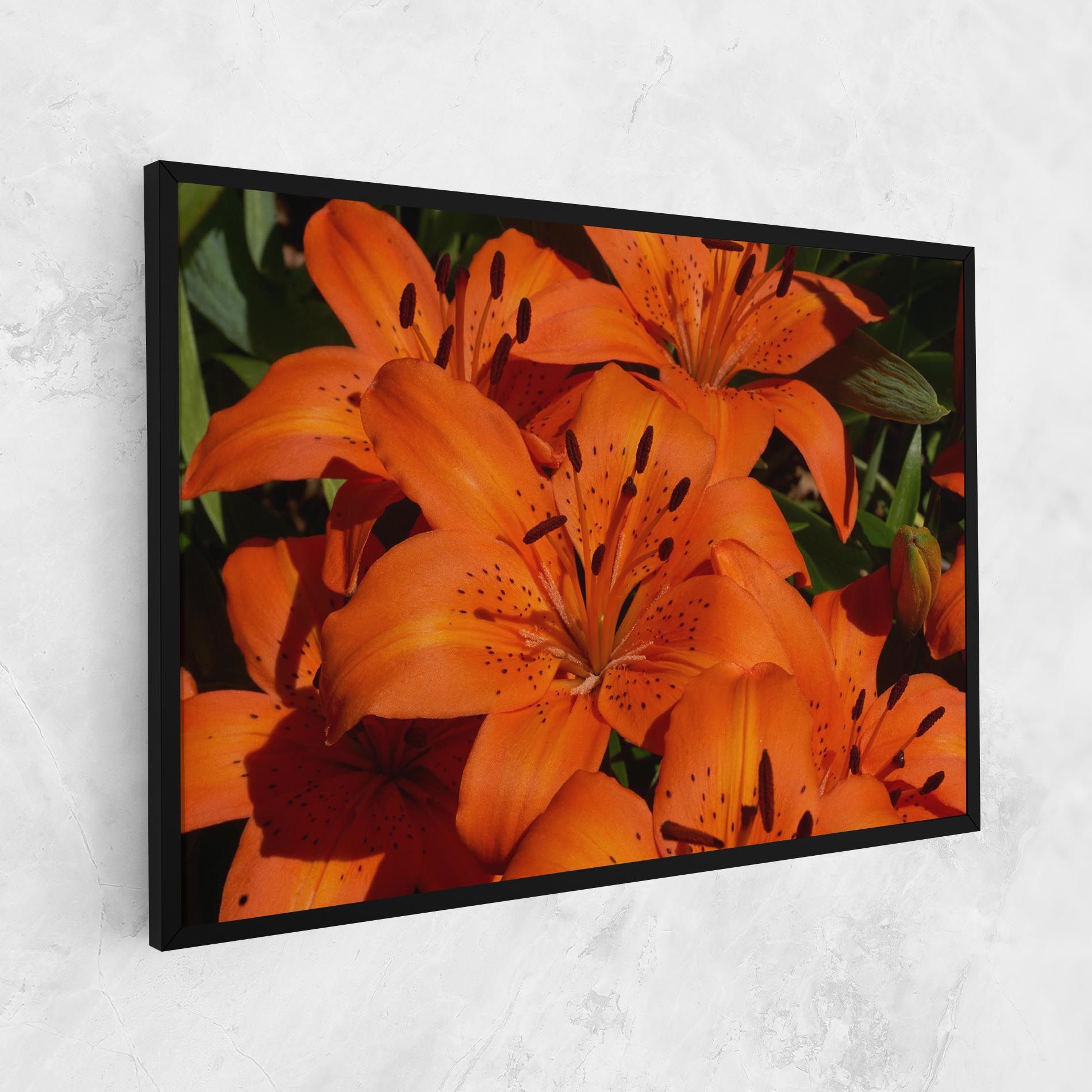 Orange Lily In The Sun mockup 1