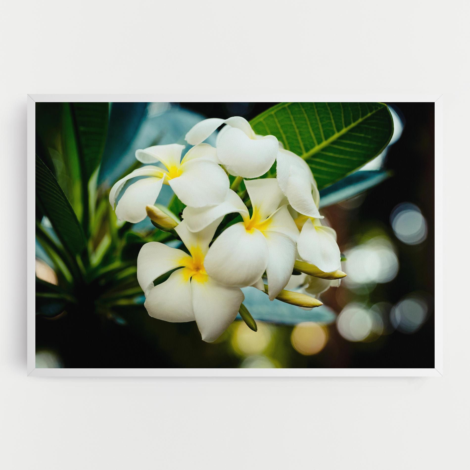 Beautiful White Exotic mockup 0