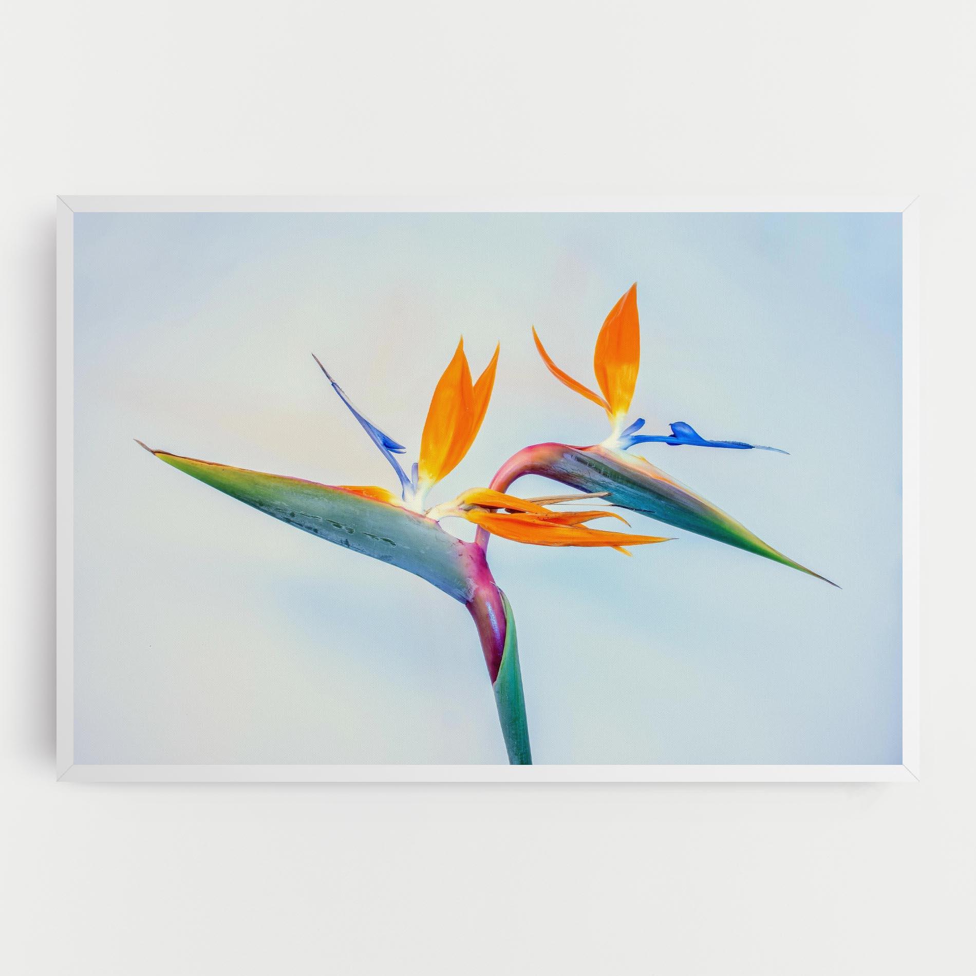 Картина на платно Green Orange Exotic mockup 0