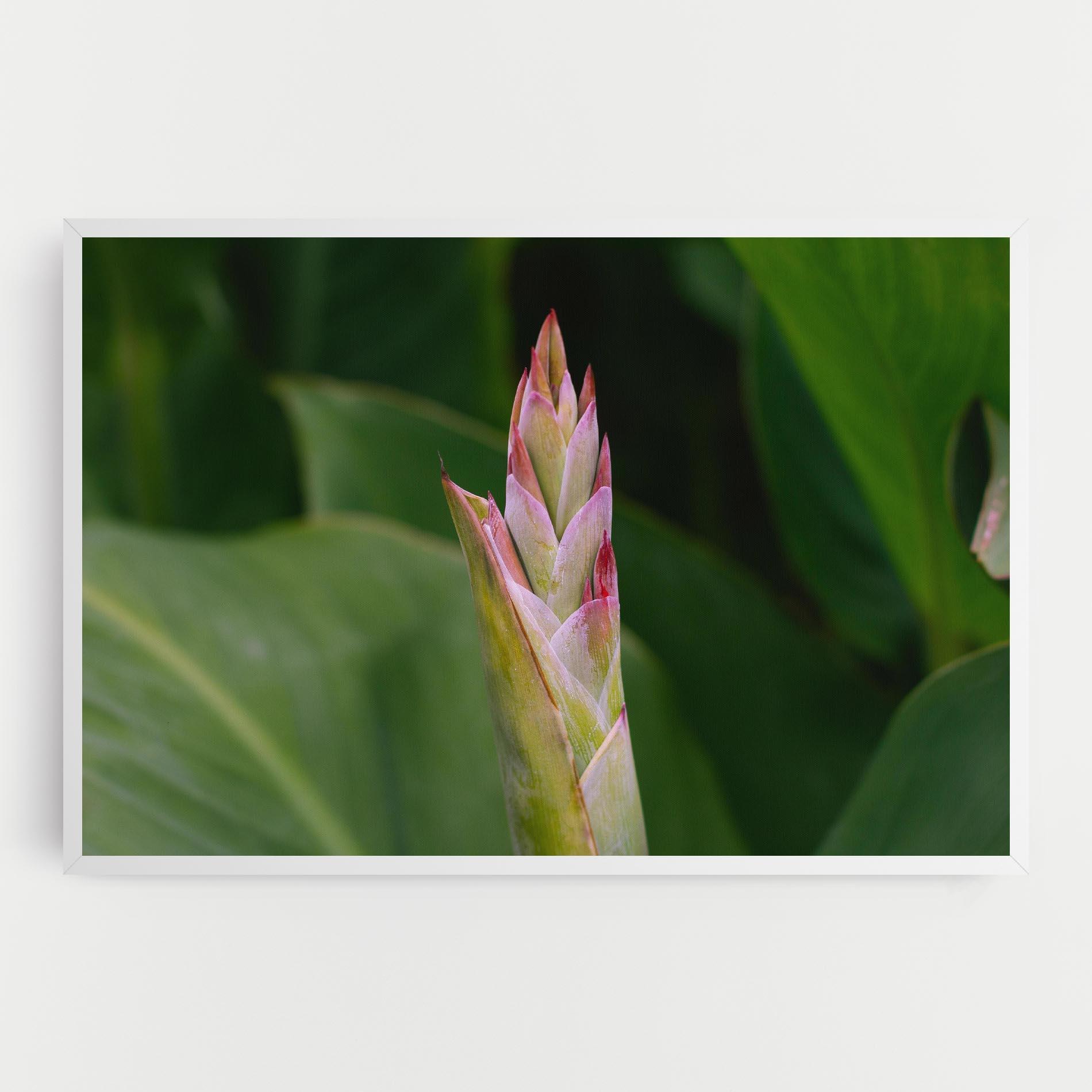 Картина на платно Light Pink Exotic mockup 0