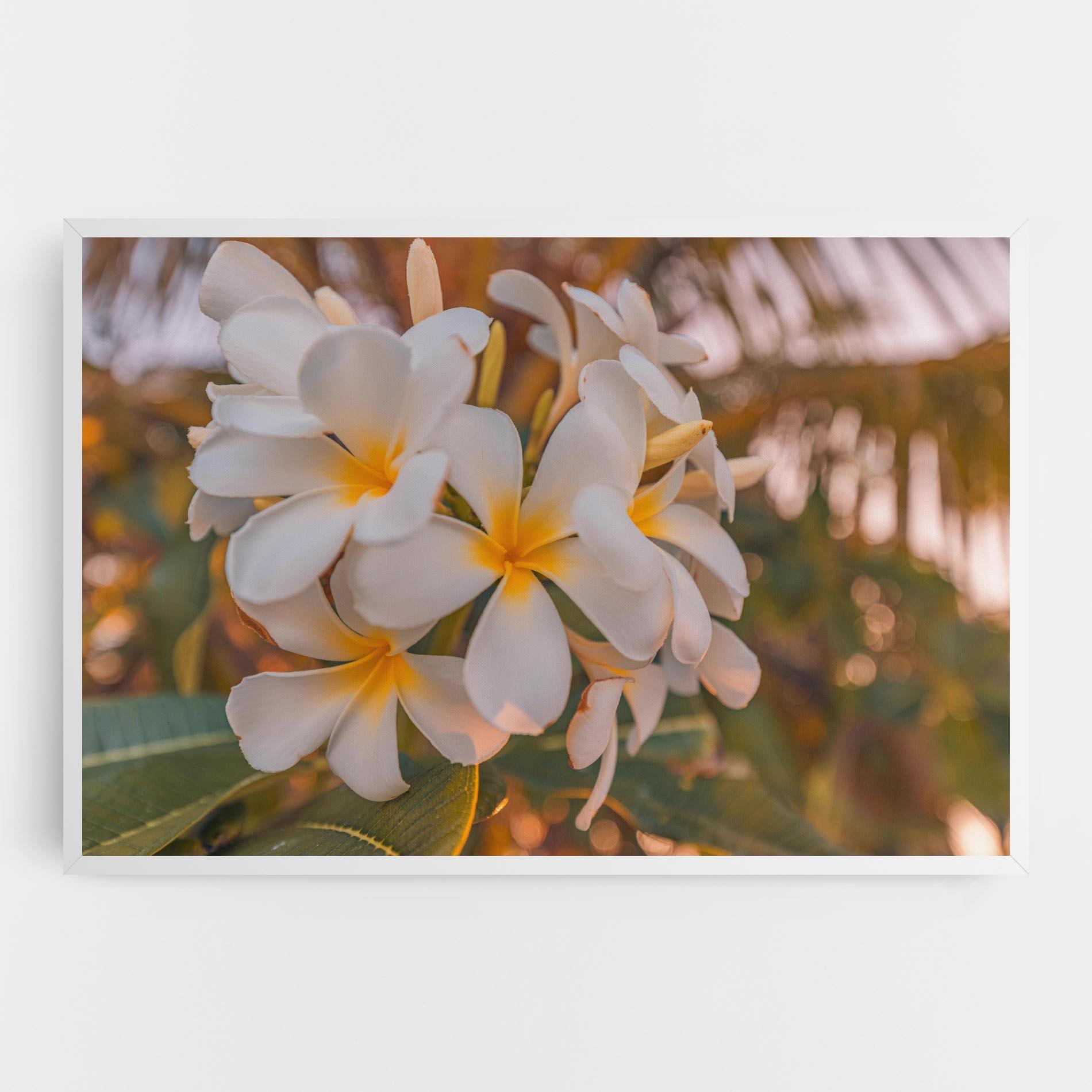 Картина на платно White Plumeria mockup 0