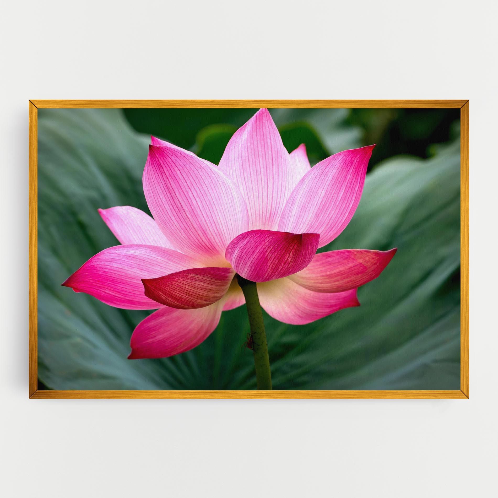 Beautiful Pink Exotic mockup 0