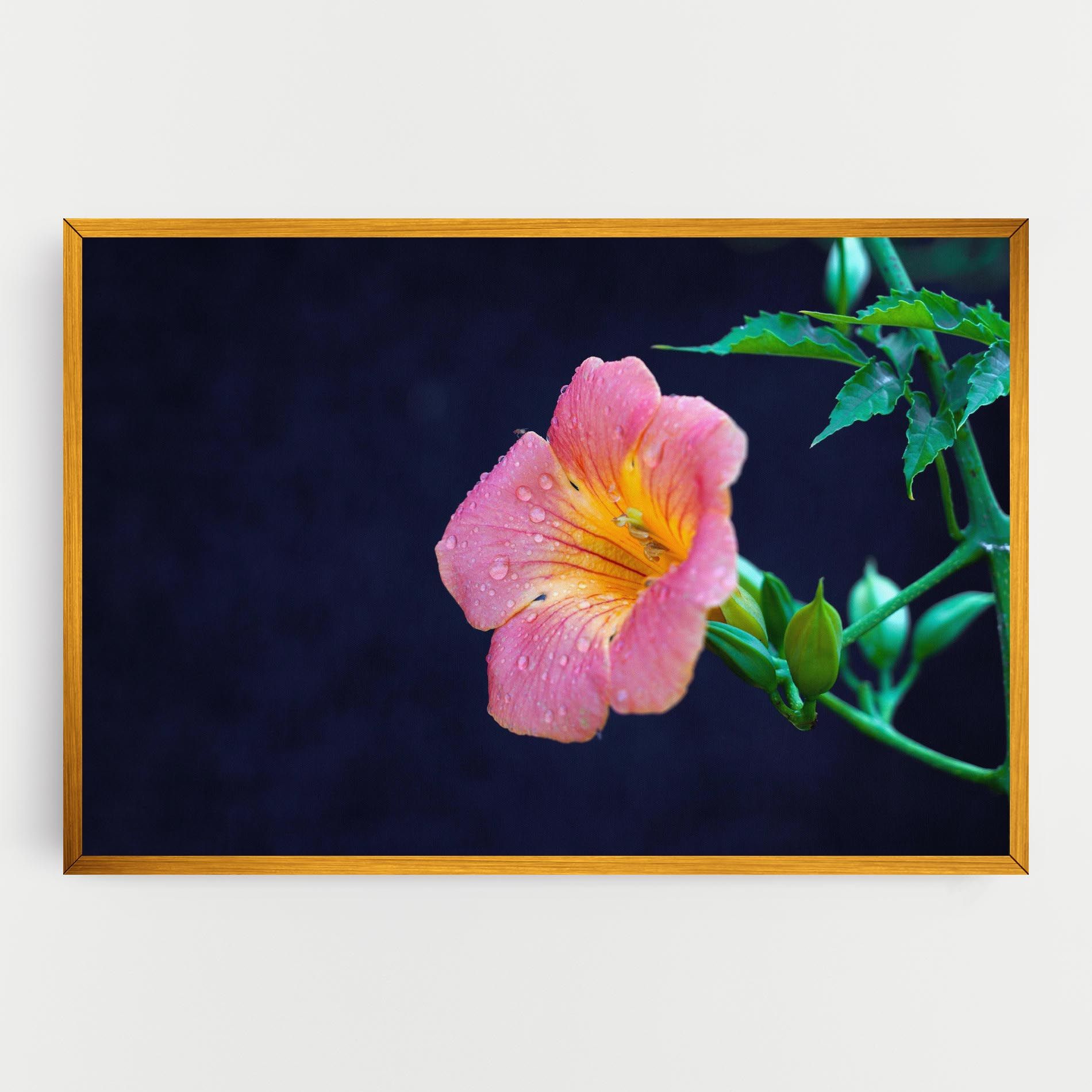 Exotic Pink Plant mockup 0