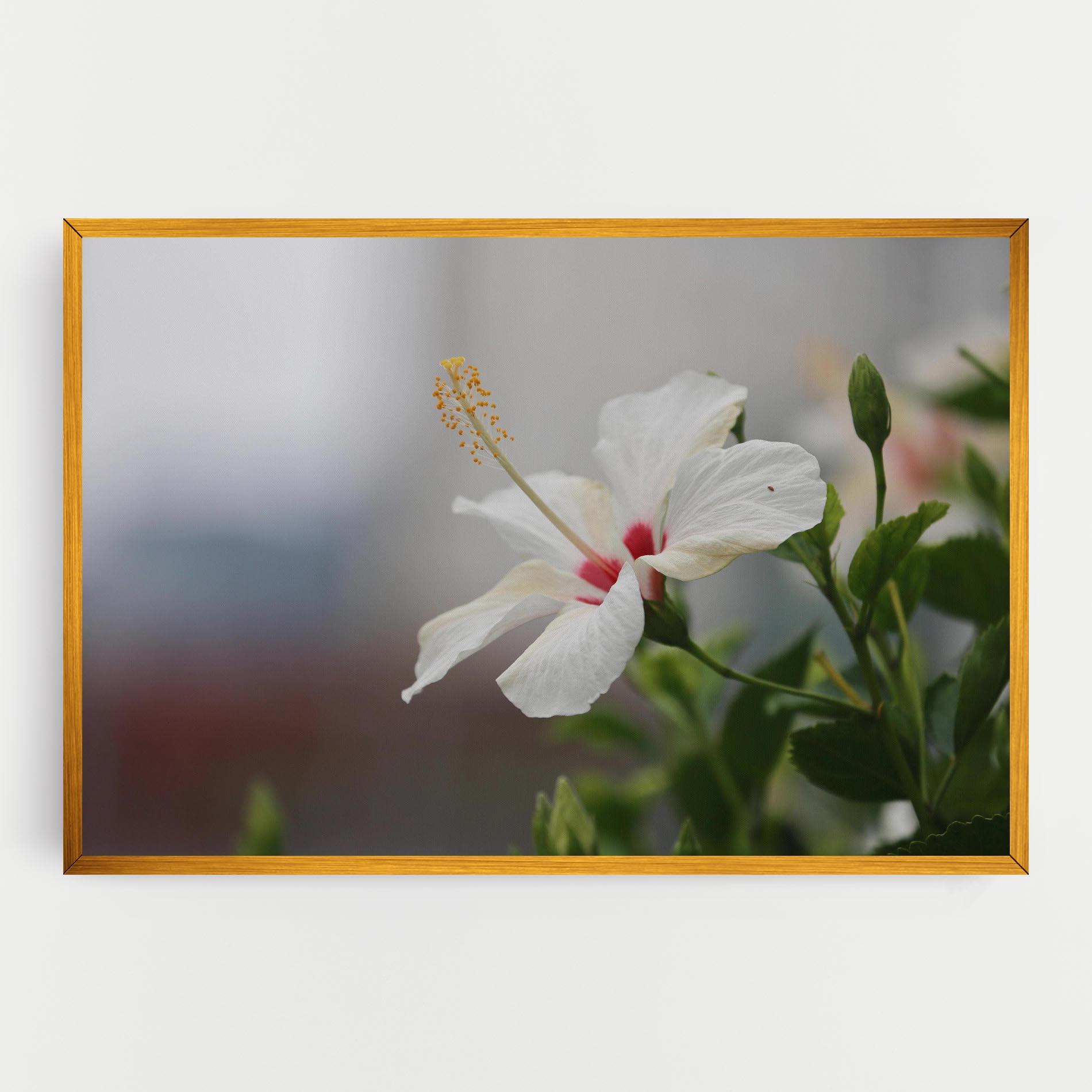 Картина на платно Exotic White Flower mockup 0