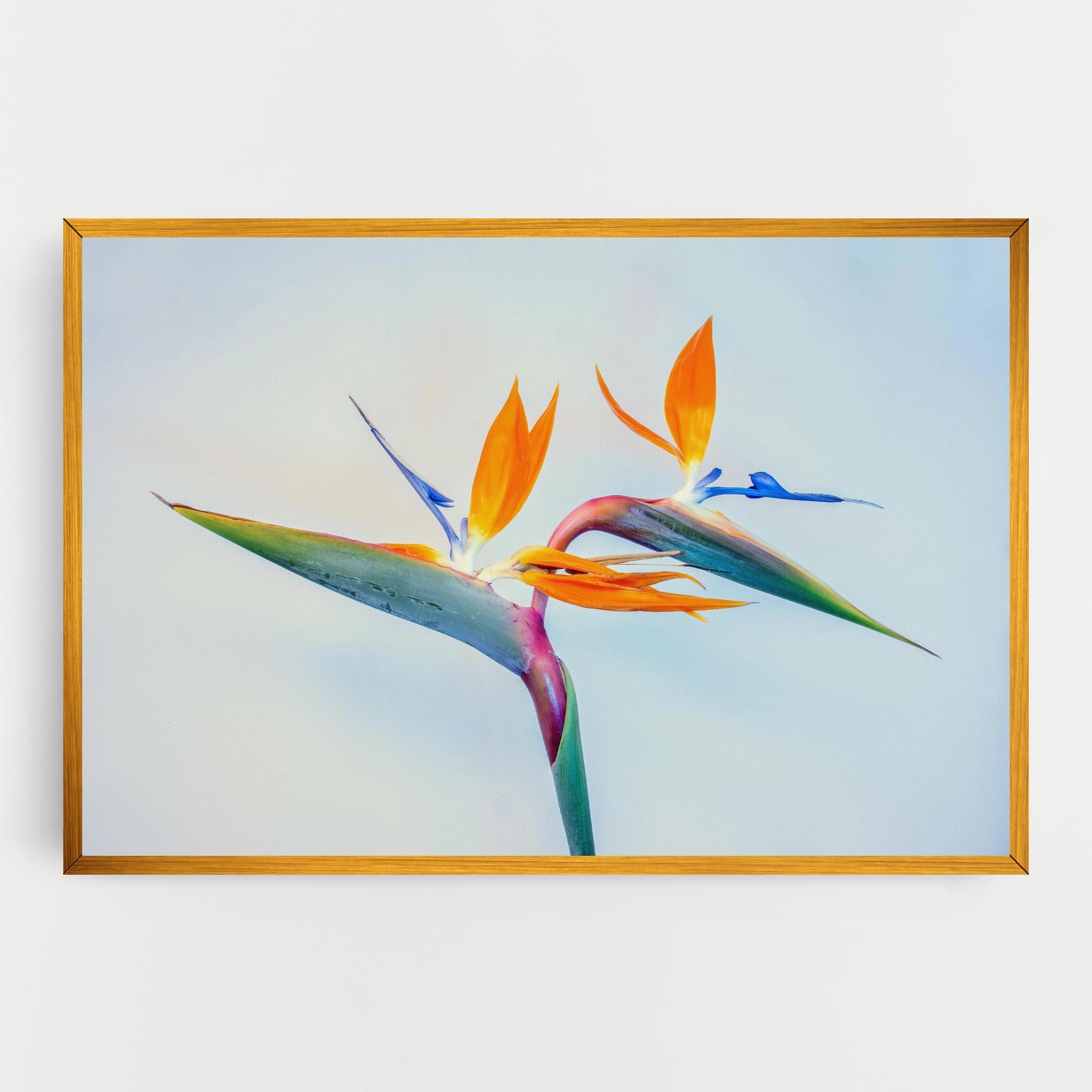 Картина на платно Green Orange Exotic mockup 0