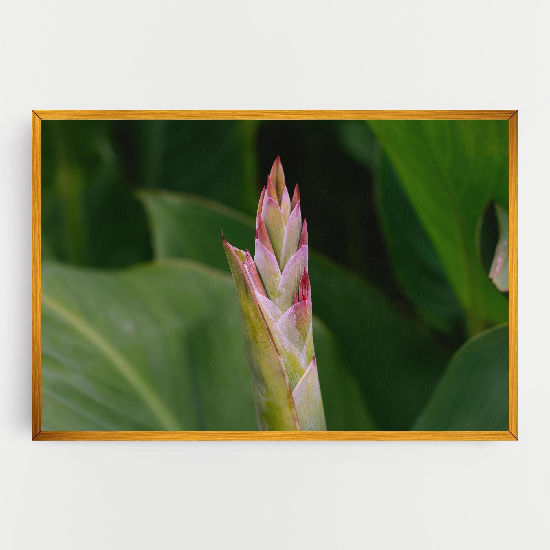 Картина на платно Light Pink Exotic mockup 0