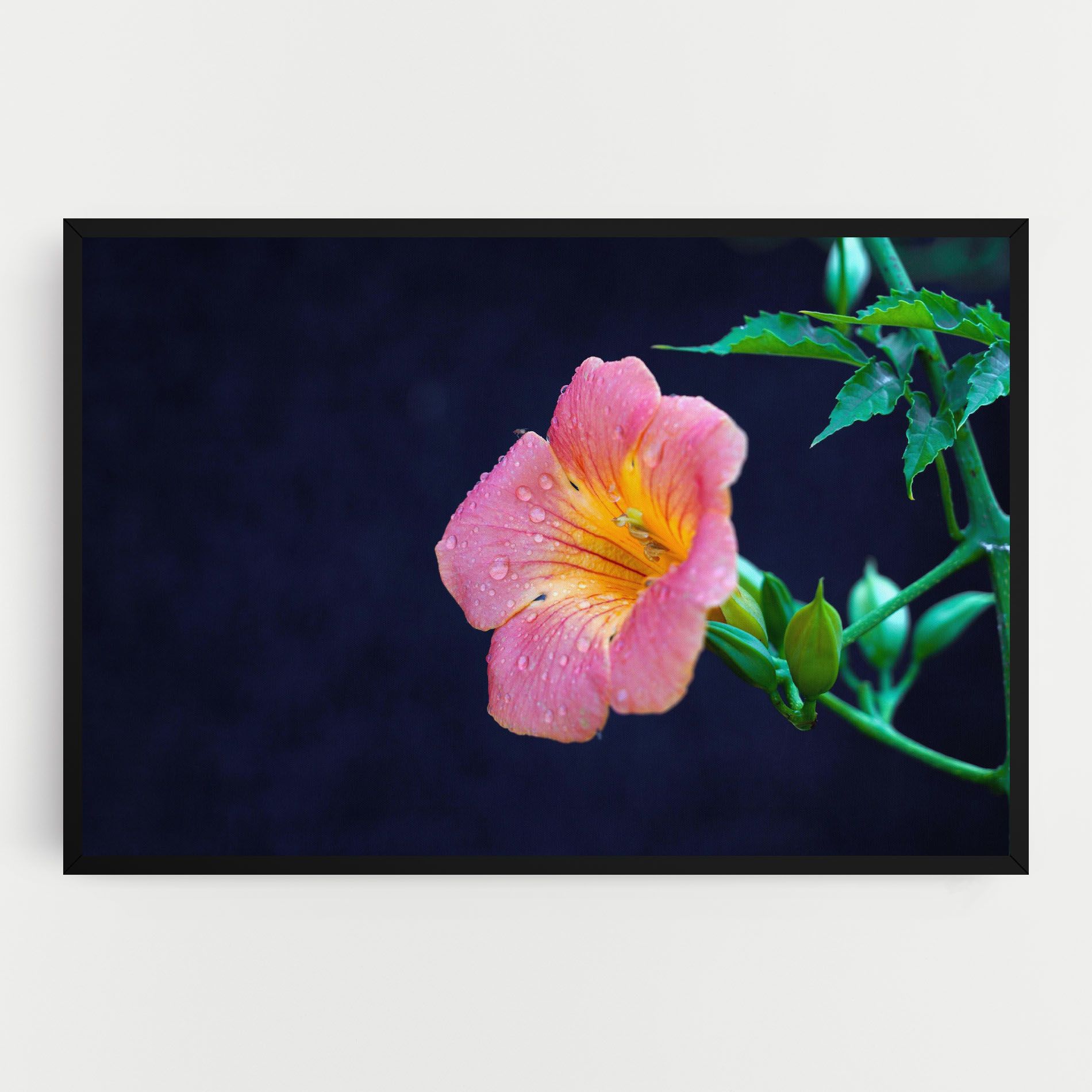 Exotic Pink Plant mockup 0