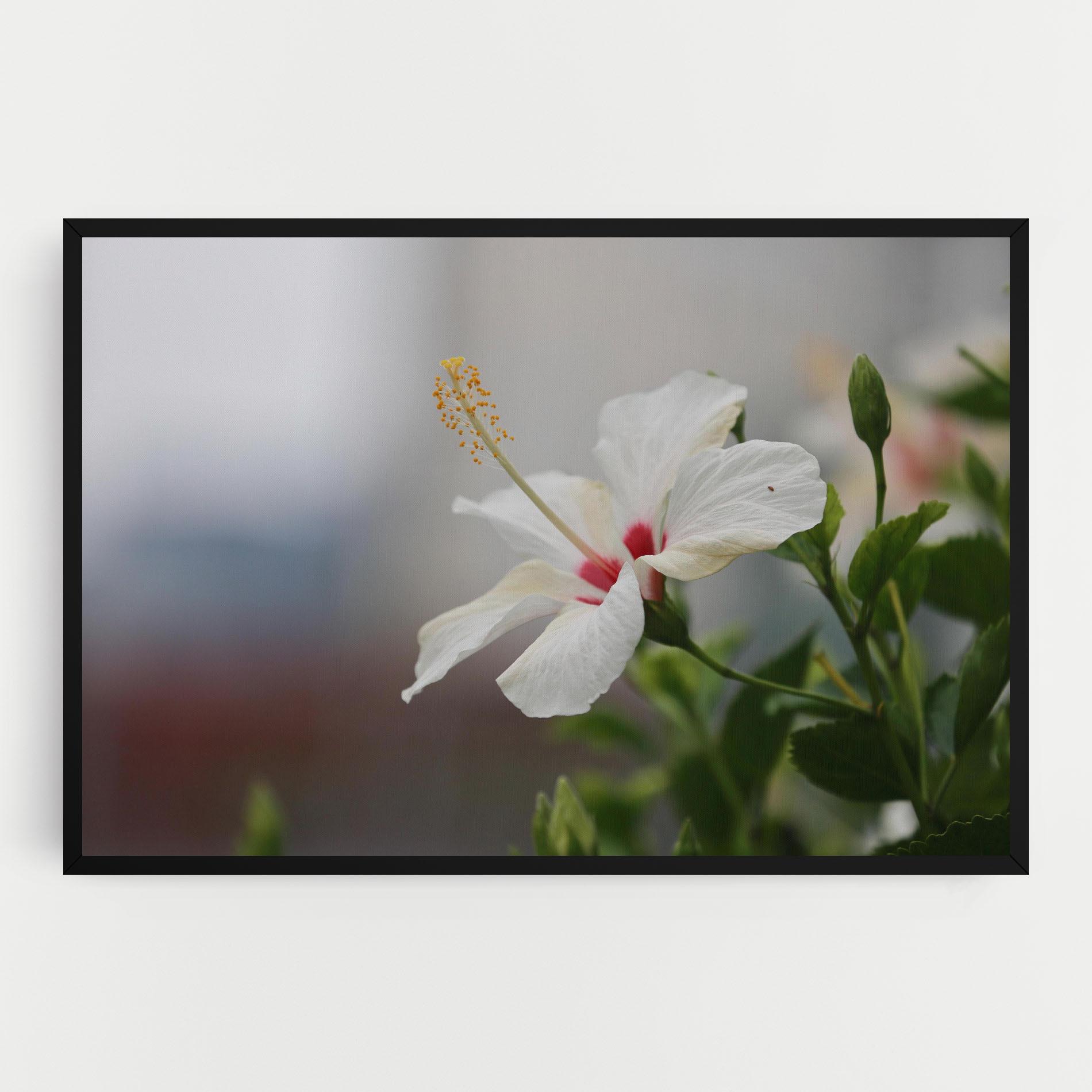 Картина на платно Exotic White Flower mockup 0