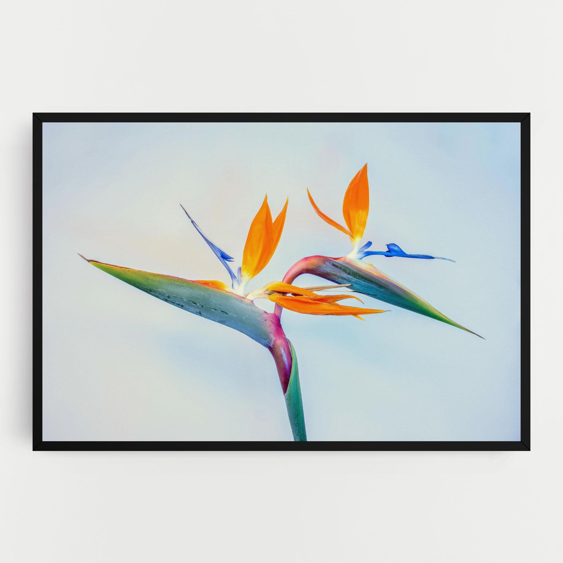 Картина на платно Green Orange Exotic mockup 0