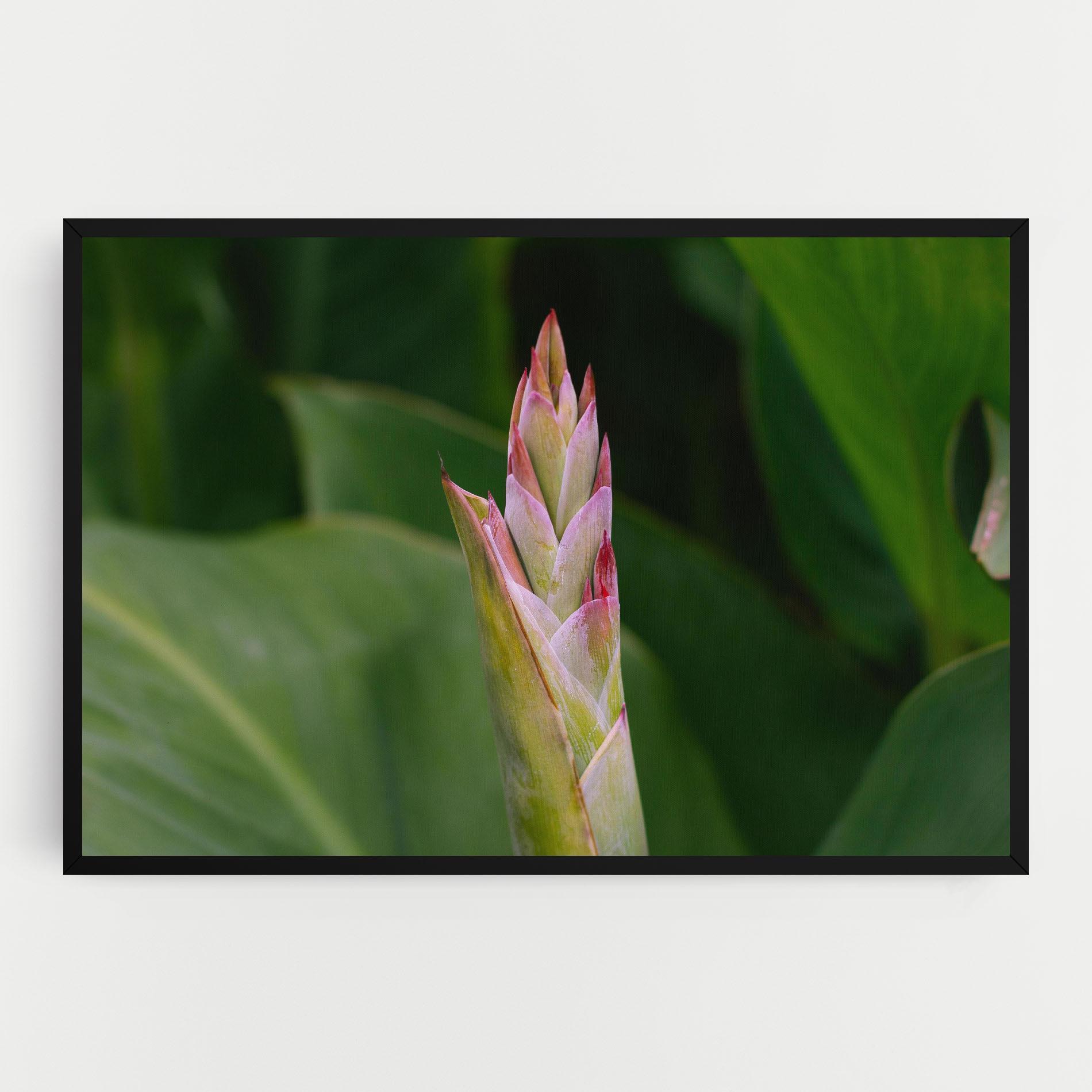 Картина на платно Light Pink Exotic mockup 0