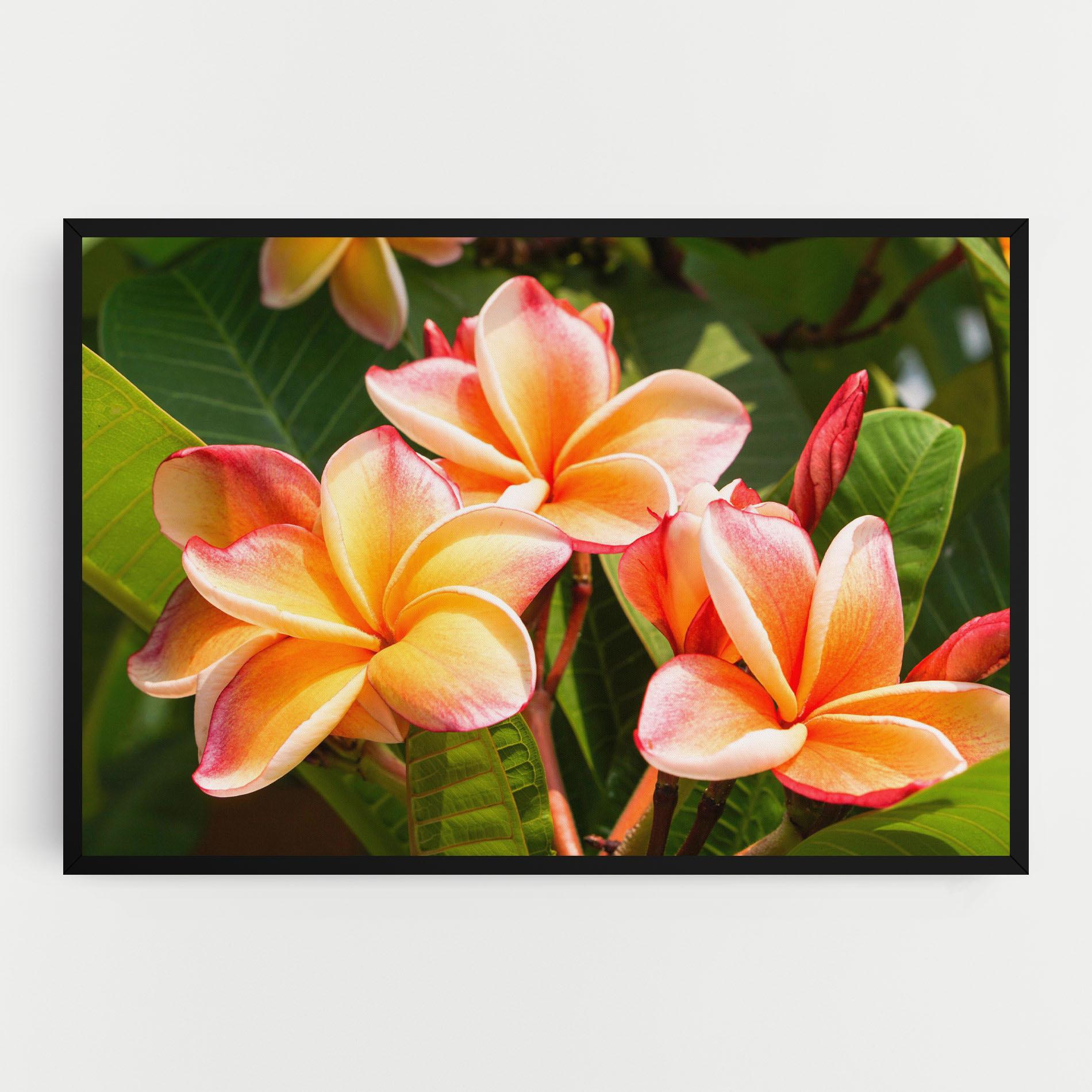 Картина на платно Pretty Plumeria mockup 0