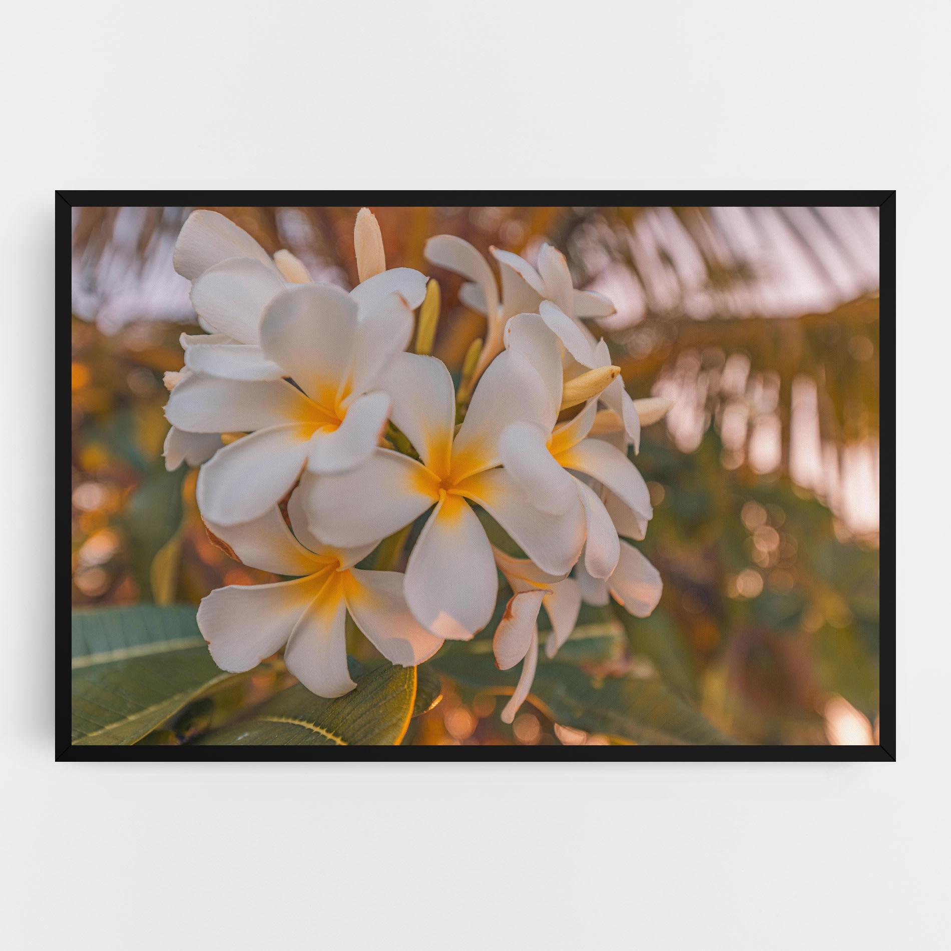 Картина на платно White Plumeria mockup 0