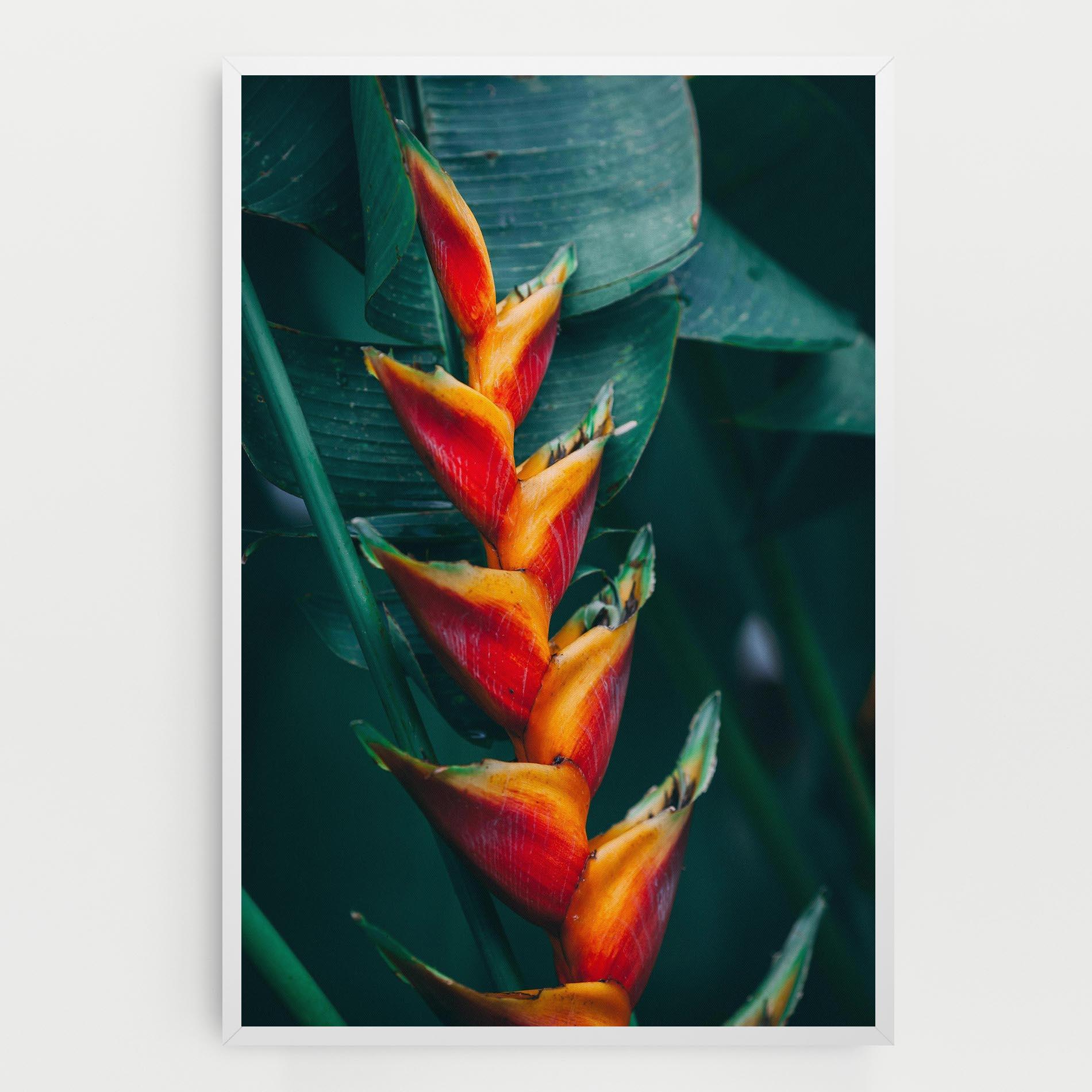Картина на платно Red Orange Exotic mockup 0