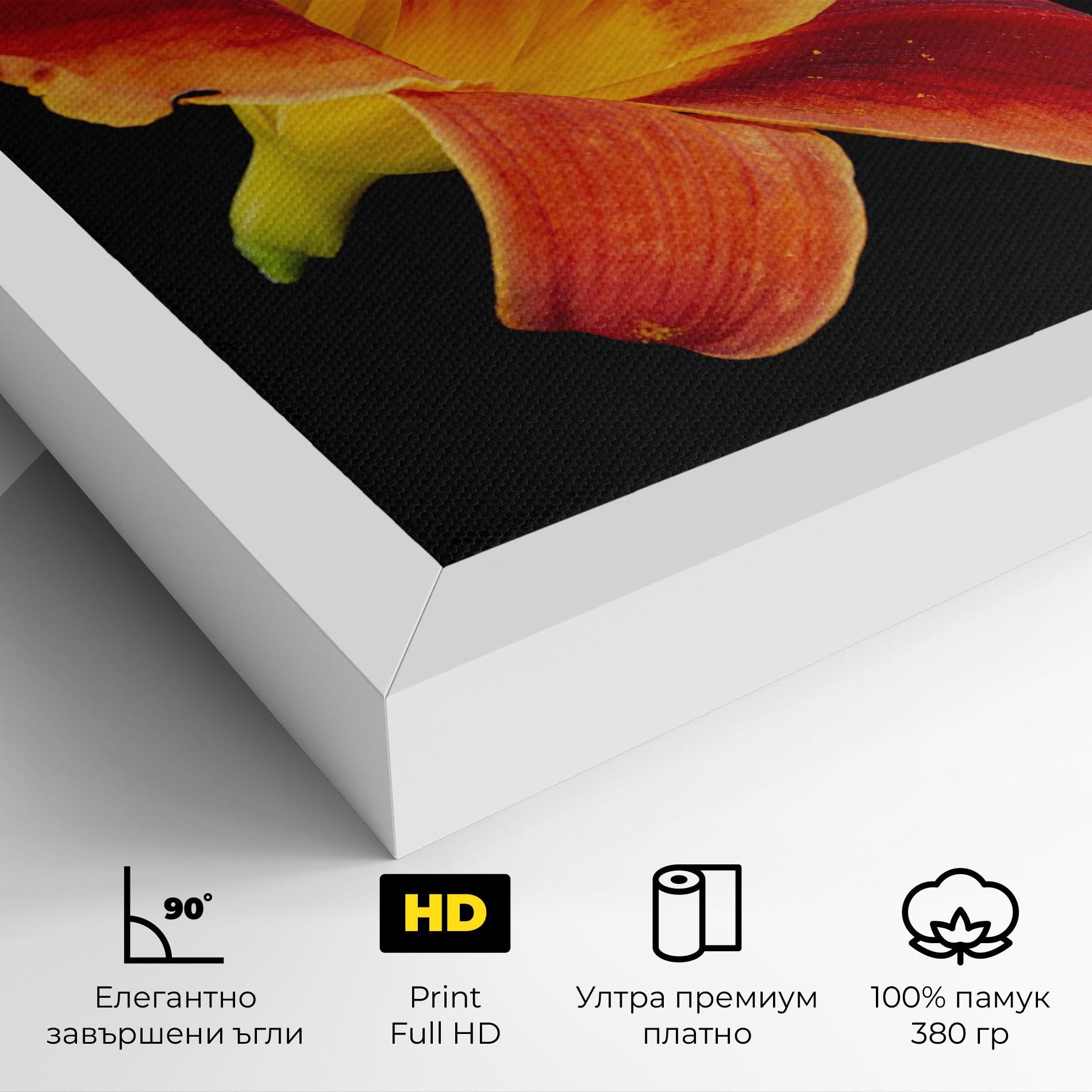 Картина на платно Exotic Orange Red mockup 4