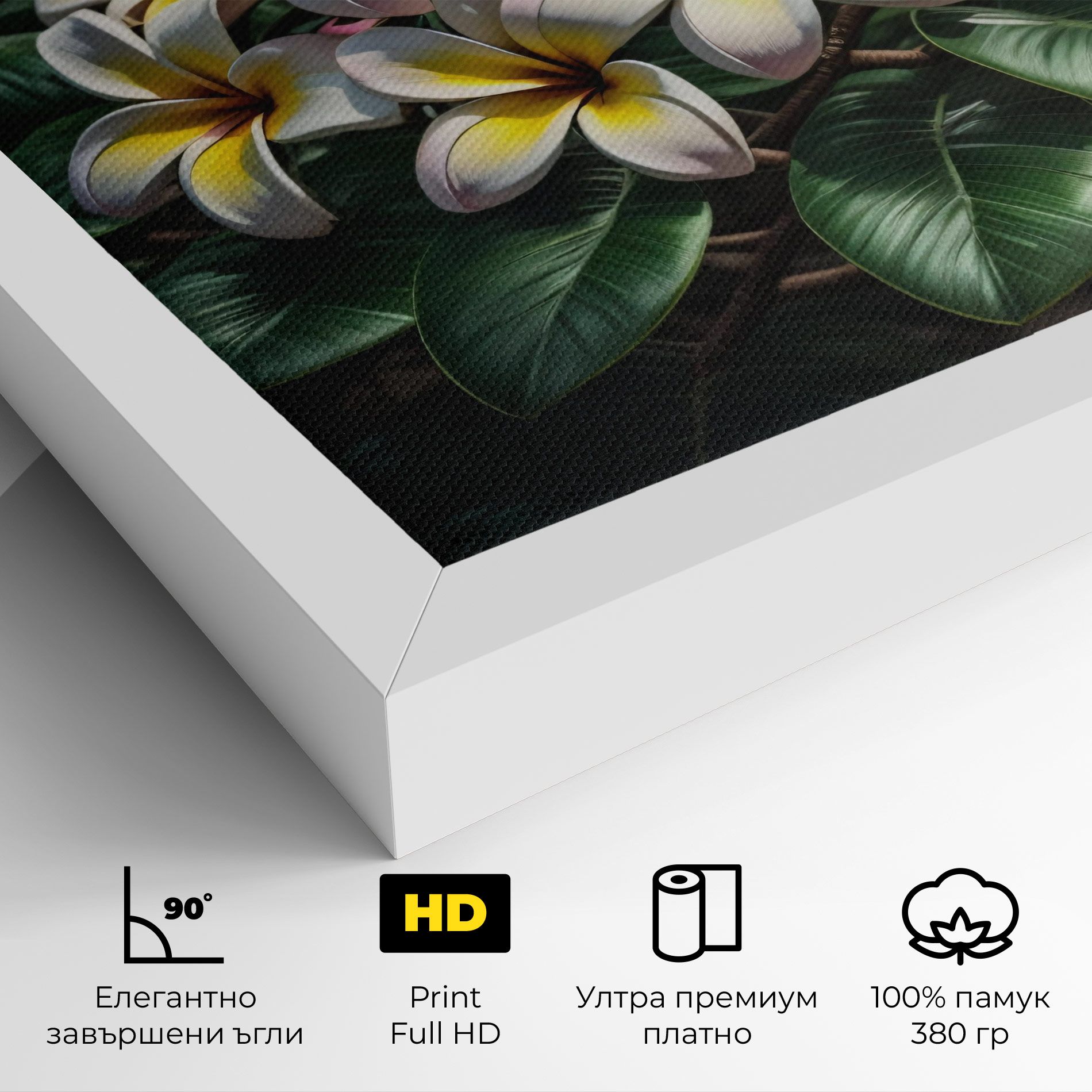 Exotic White Yellow mockup 4