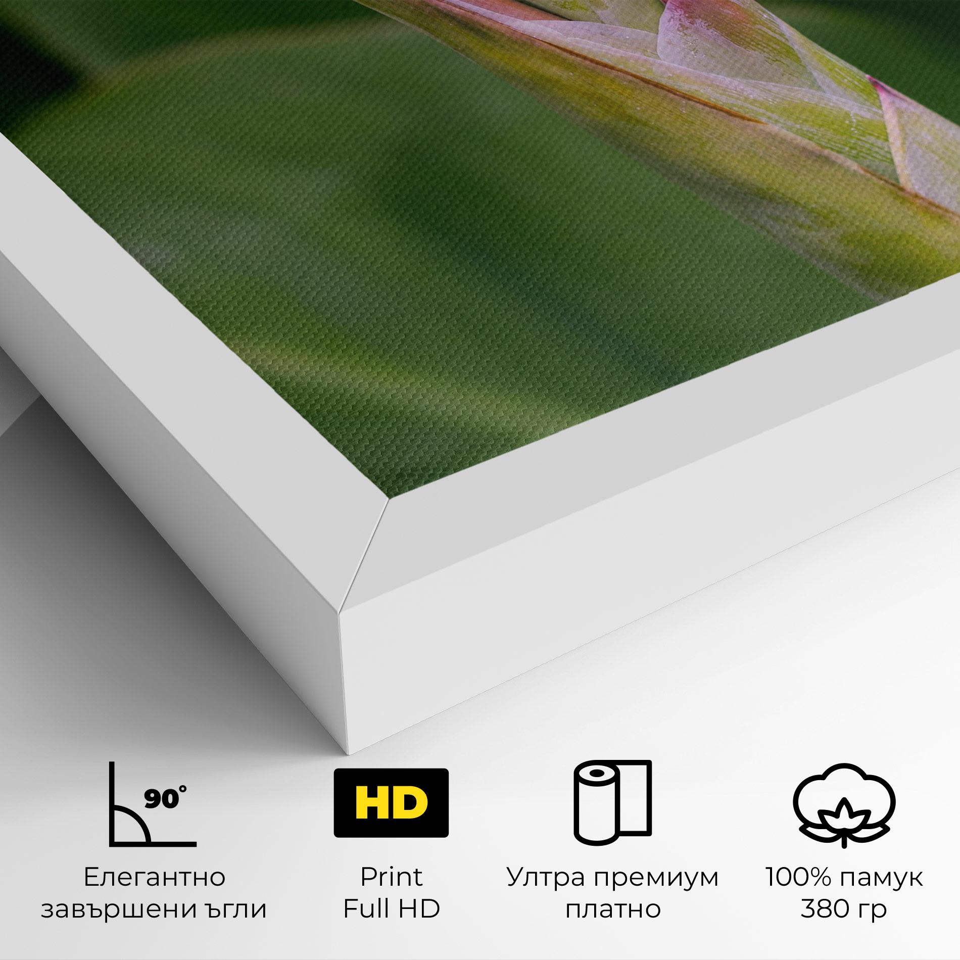 Картина на платно Light Pink Exotic mockup 4