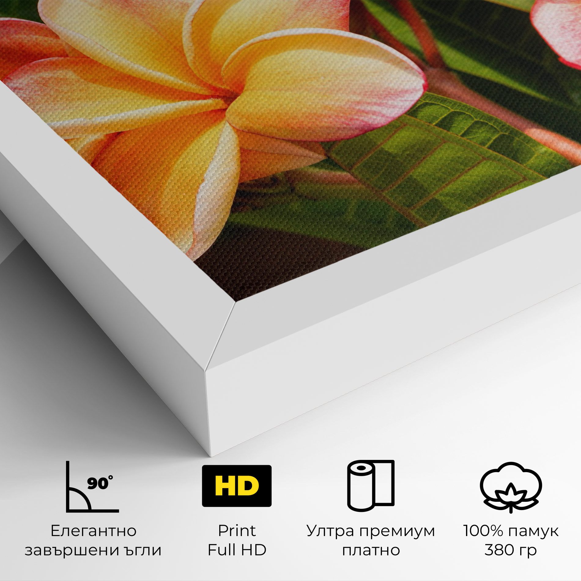 Pretty Plumeria mockup 4