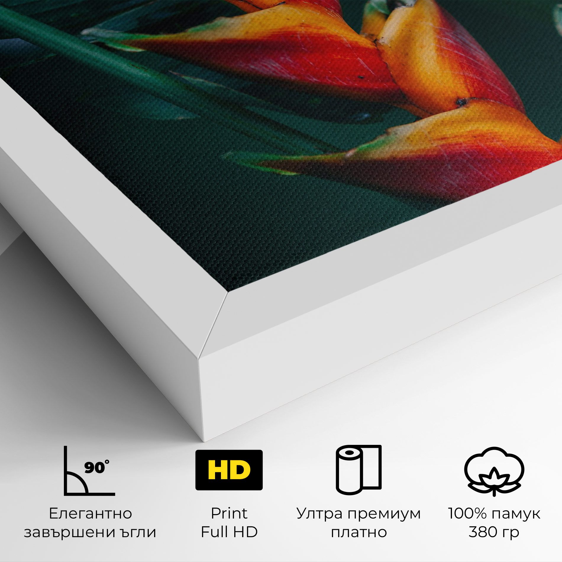 Red Orange Exotic mockup 4