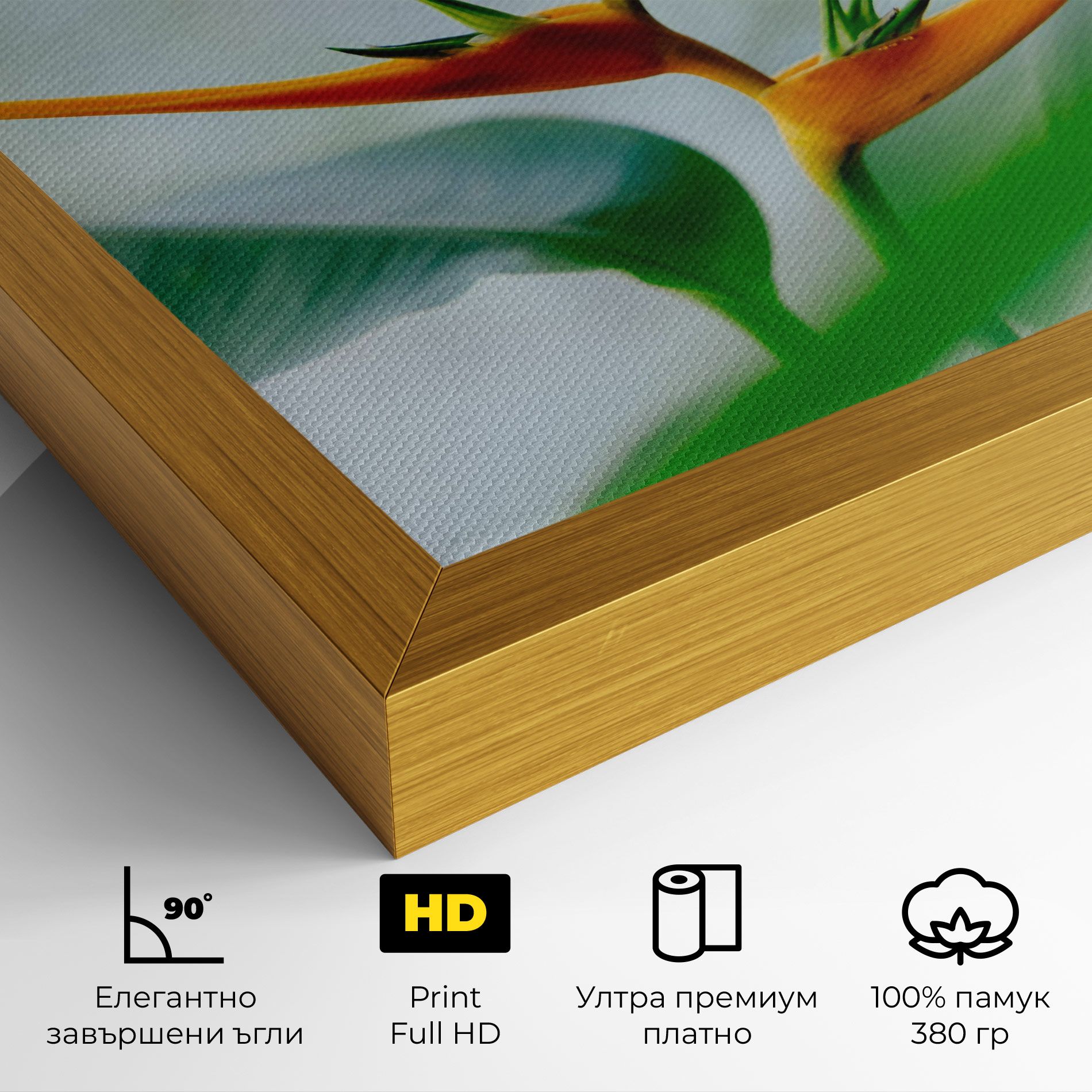 Exotic Orange Green mockup 4