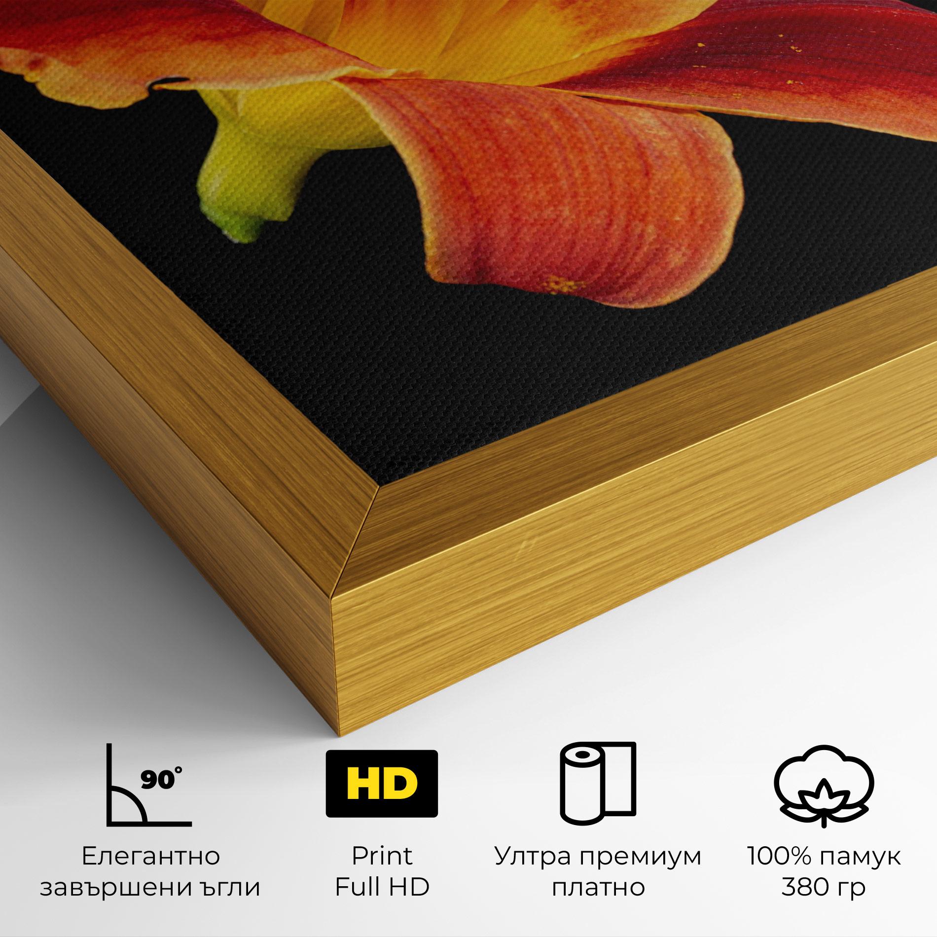 Картина на платно Exotic Orange Red mockup 4