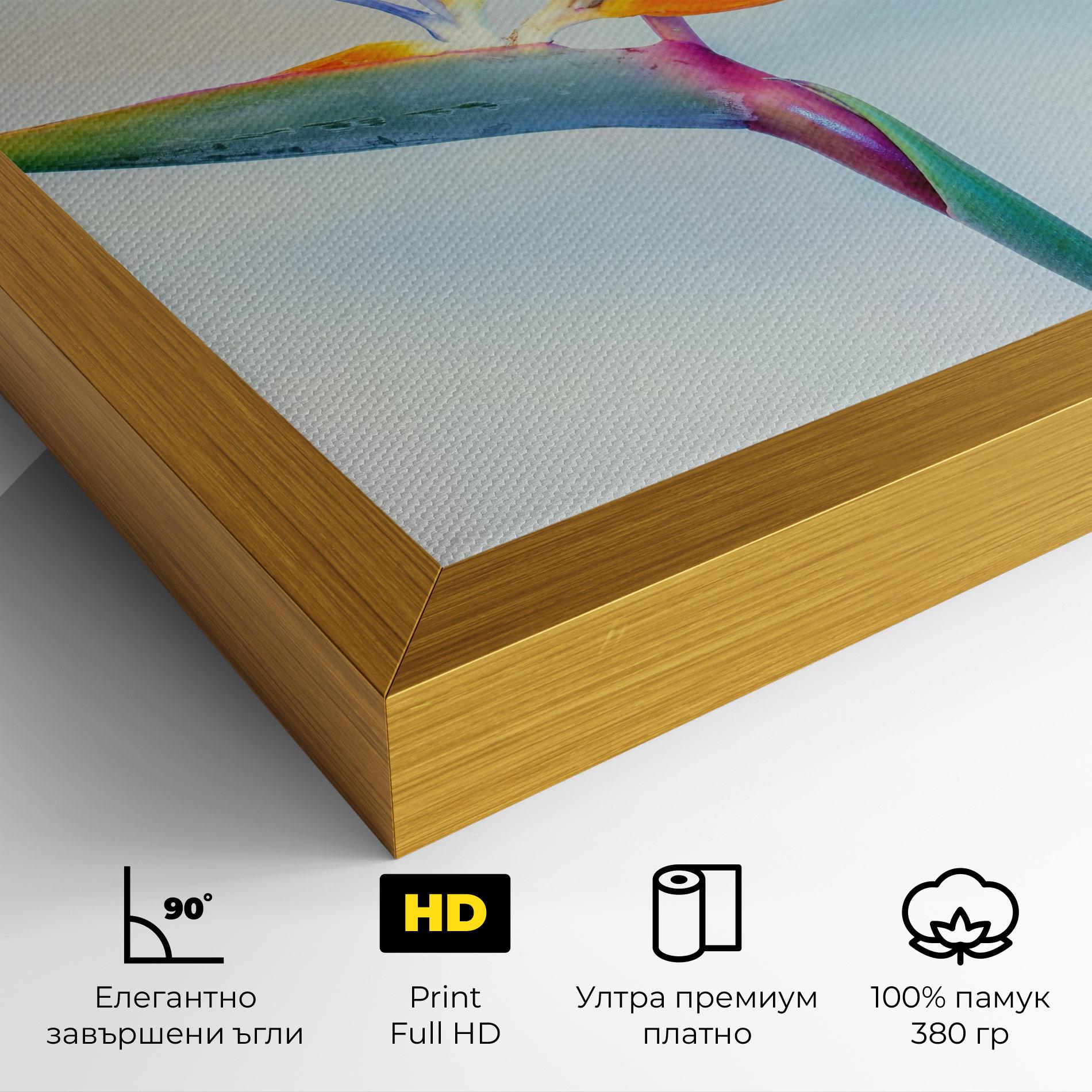 Картина на платно Green Orange Exotic mockup 4