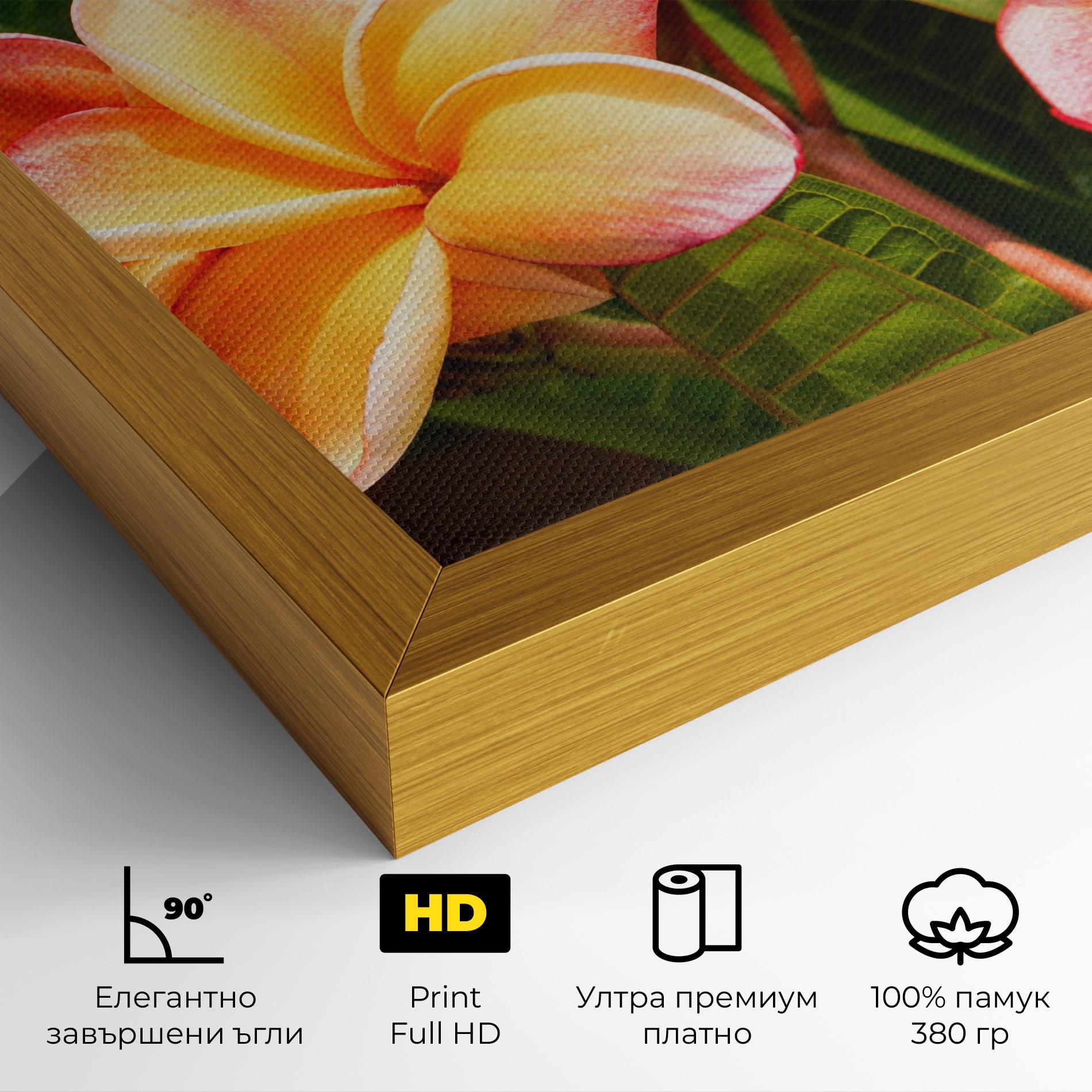 Картина на платно Pretty Plumeria mockup 4