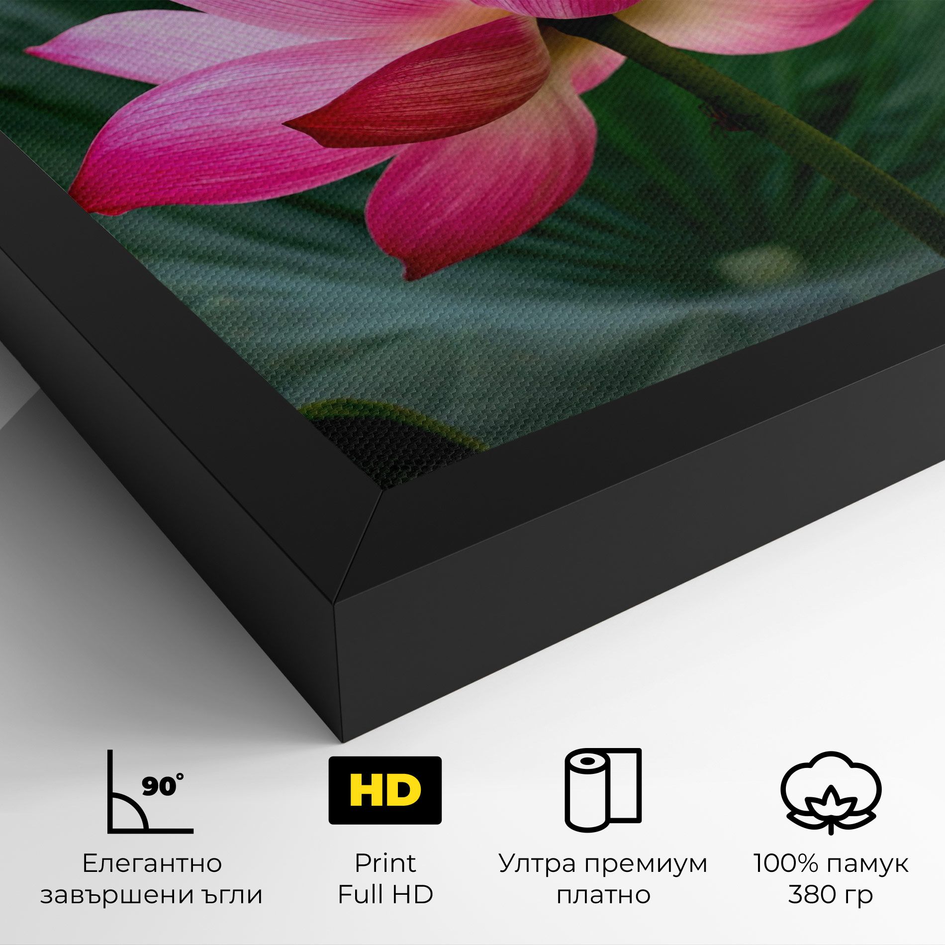 Beautiful Pink Exotic mockup 4
