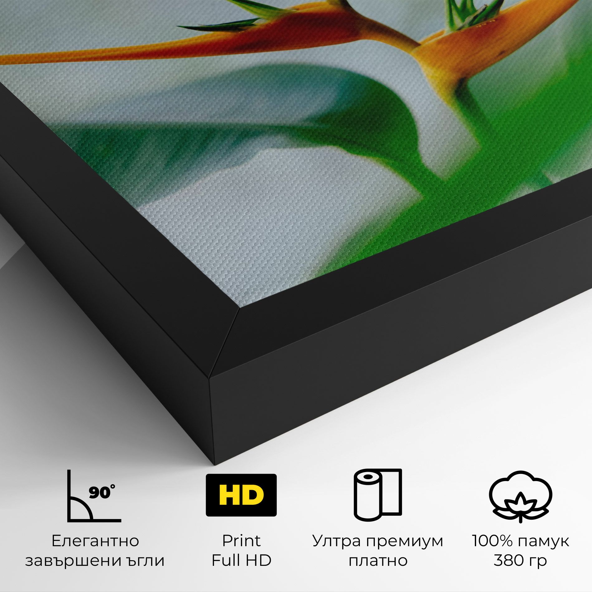 Exotic Orange Green mockup 4