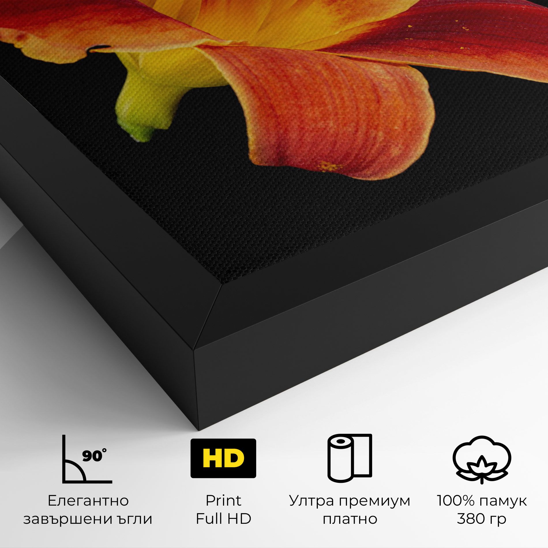 Exotic Orange Red mockup 4