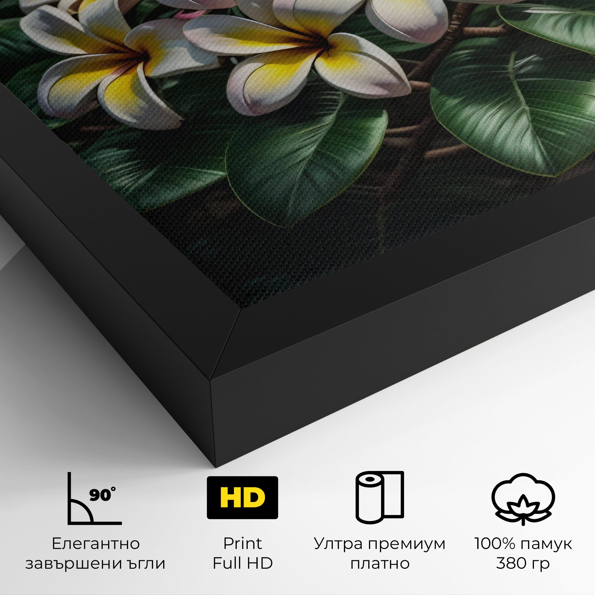 Exotic White Yellow mockup 4