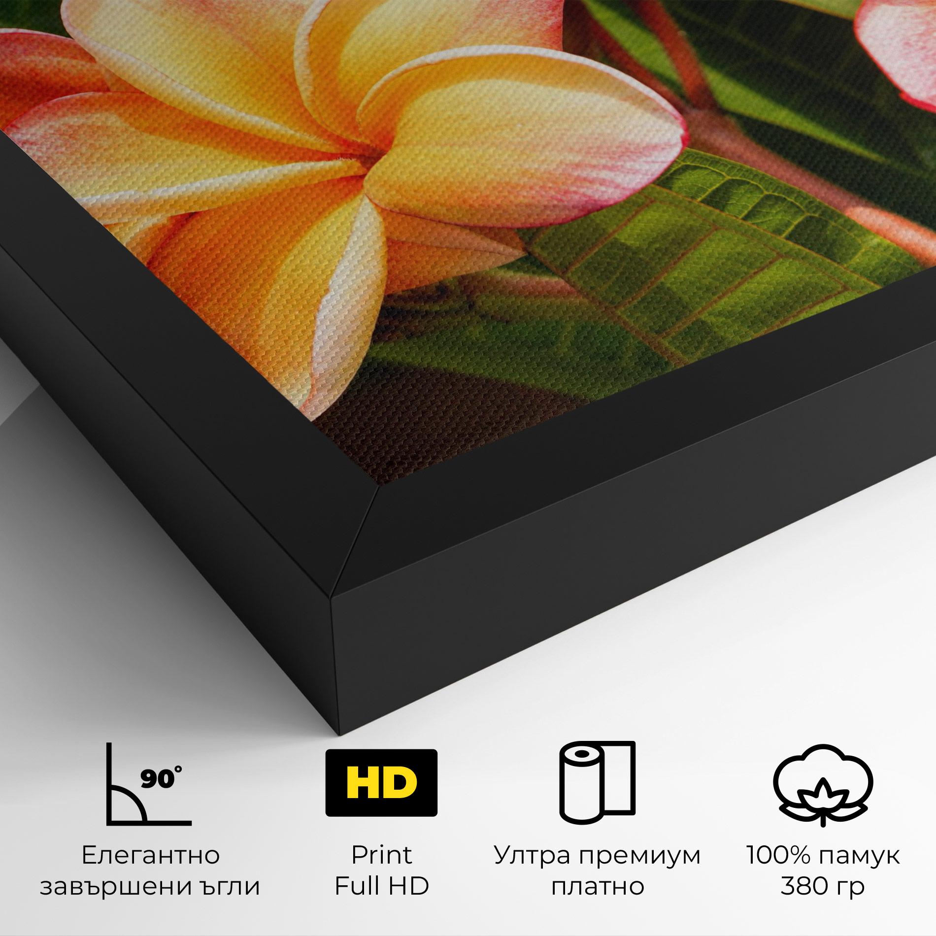 Картина на платно Pretty Plumeria mockup 4