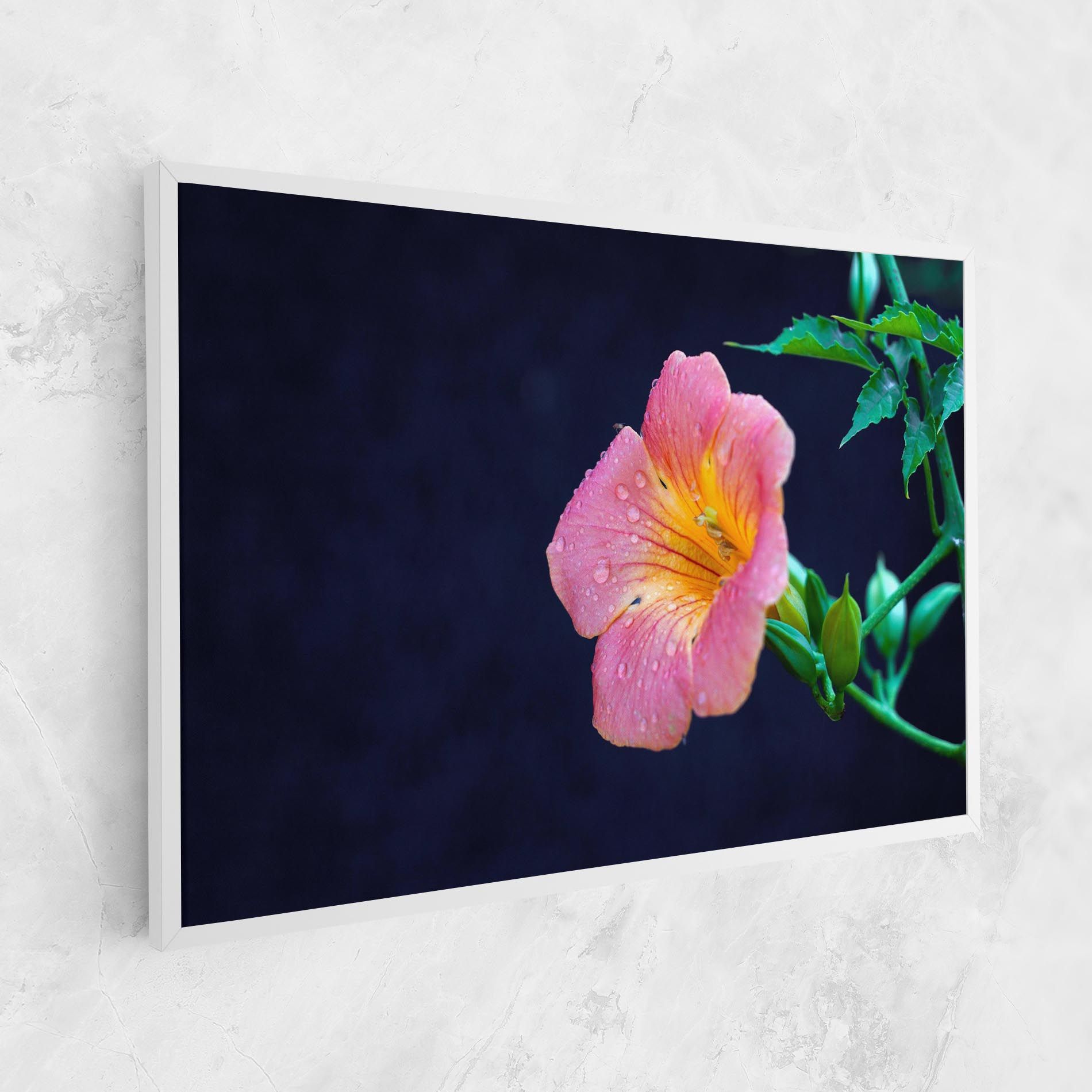 Exotic Pink Plant mockup 1
