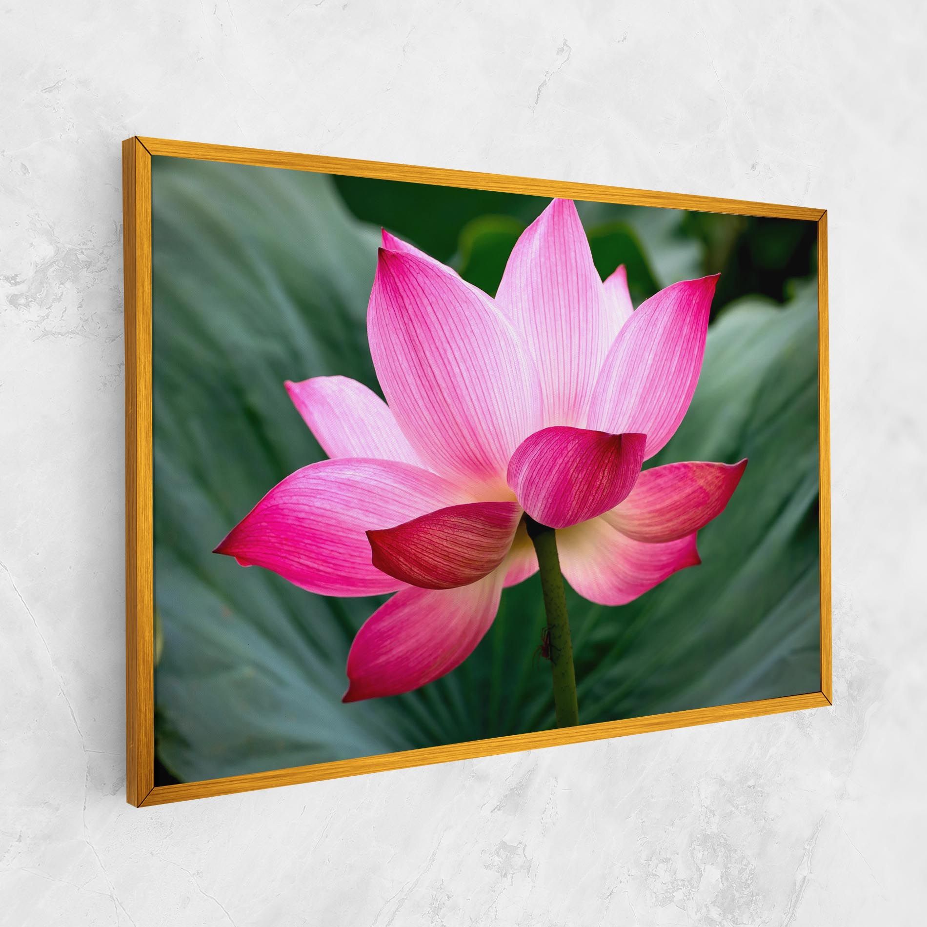 Beautiful Pink Exotic mockup 1