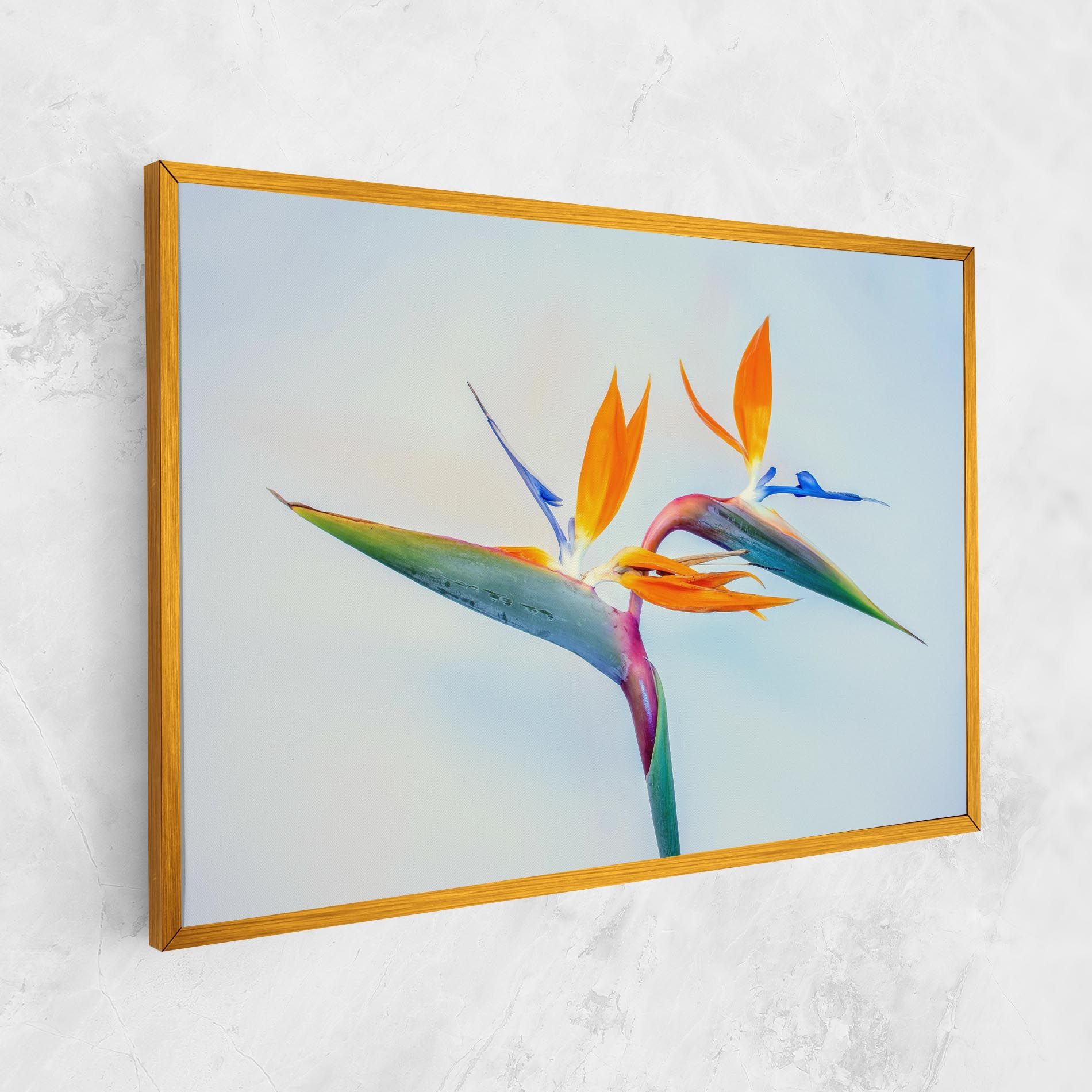 Green Orange Exotic mockup 1