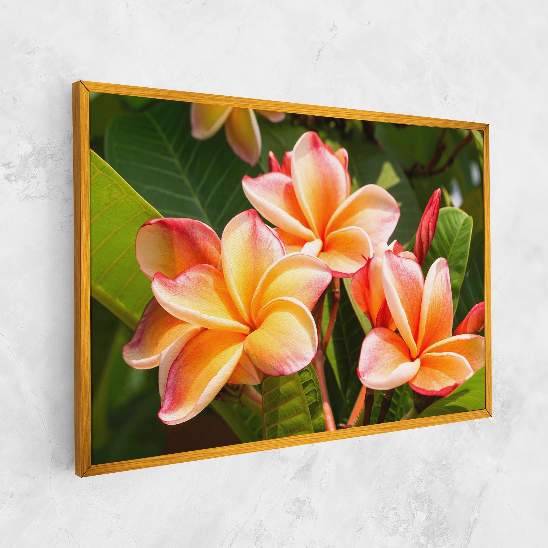 Картина на платно Pretty Plumeria mockup 1