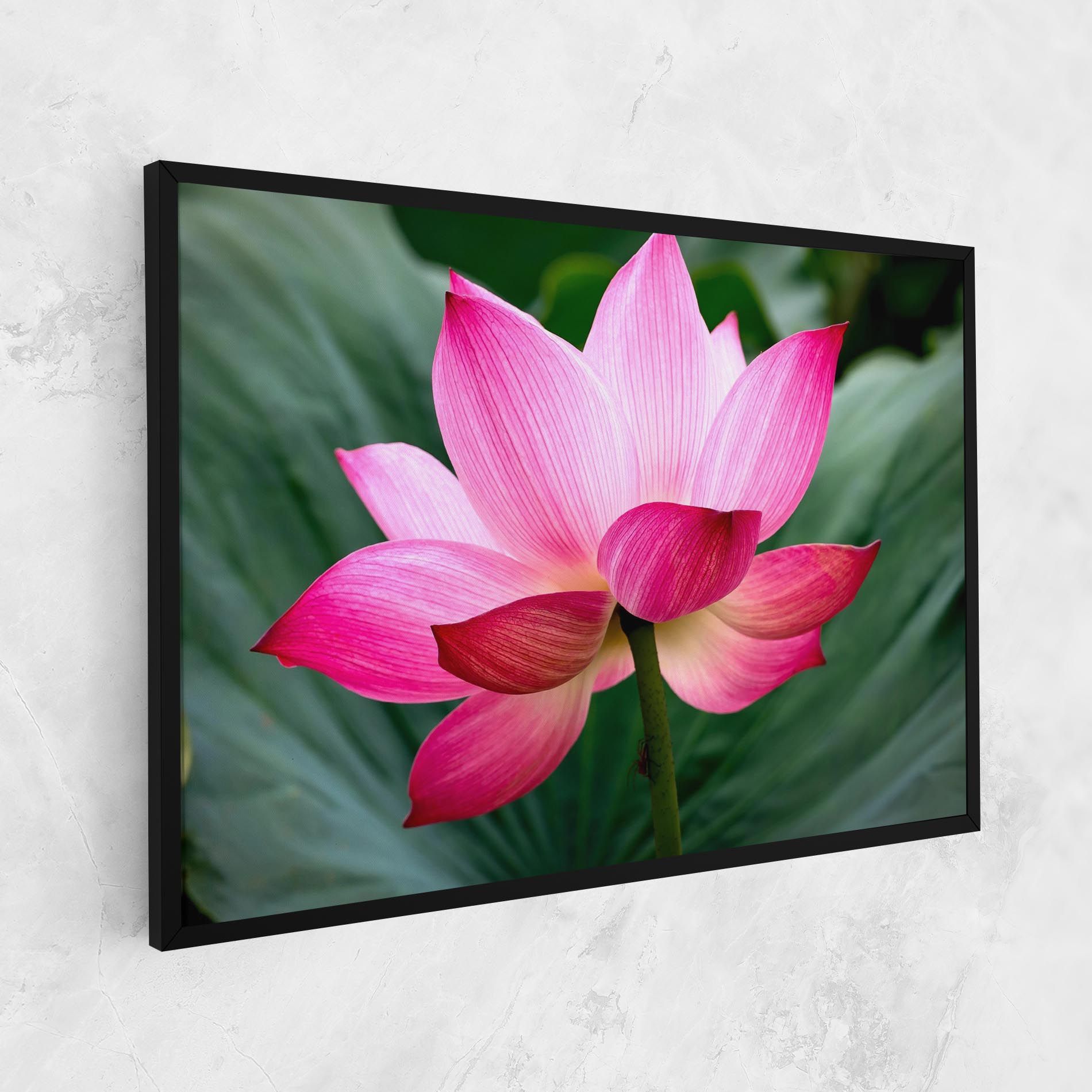 Beautiful Pink Exotic mockup 1
