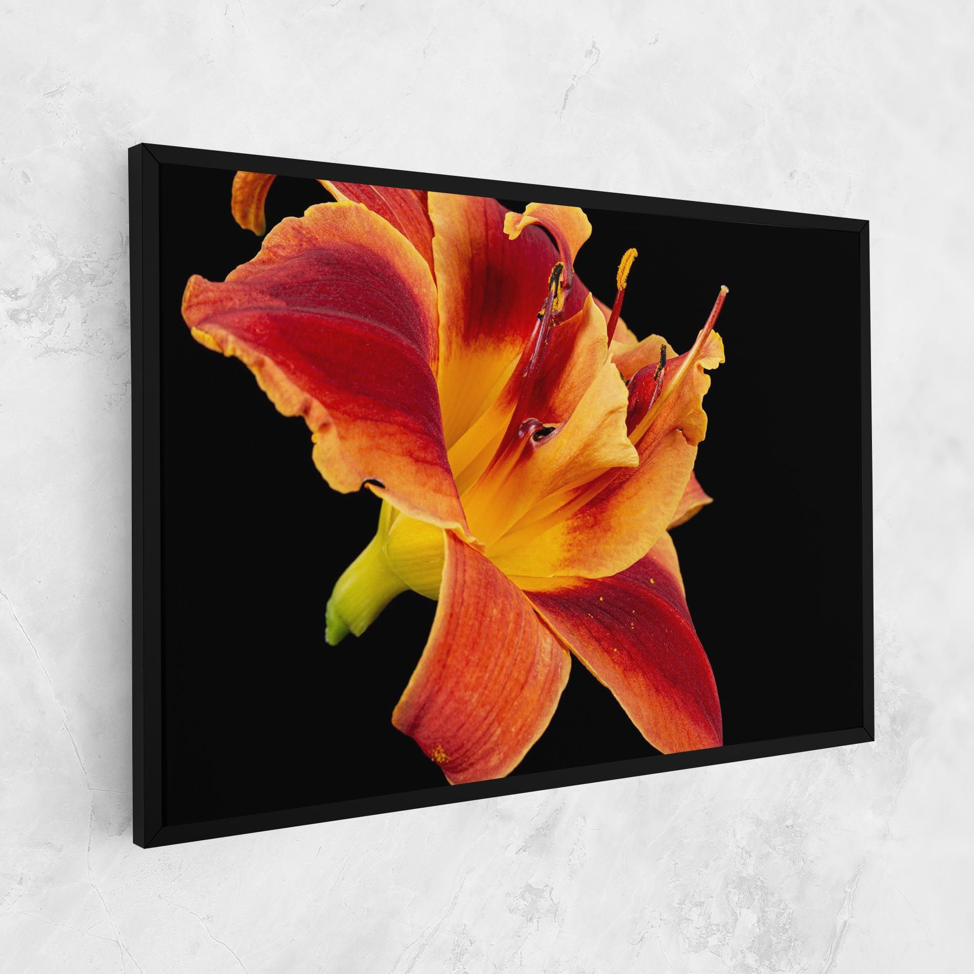 Exotic Orange Red mockup 1