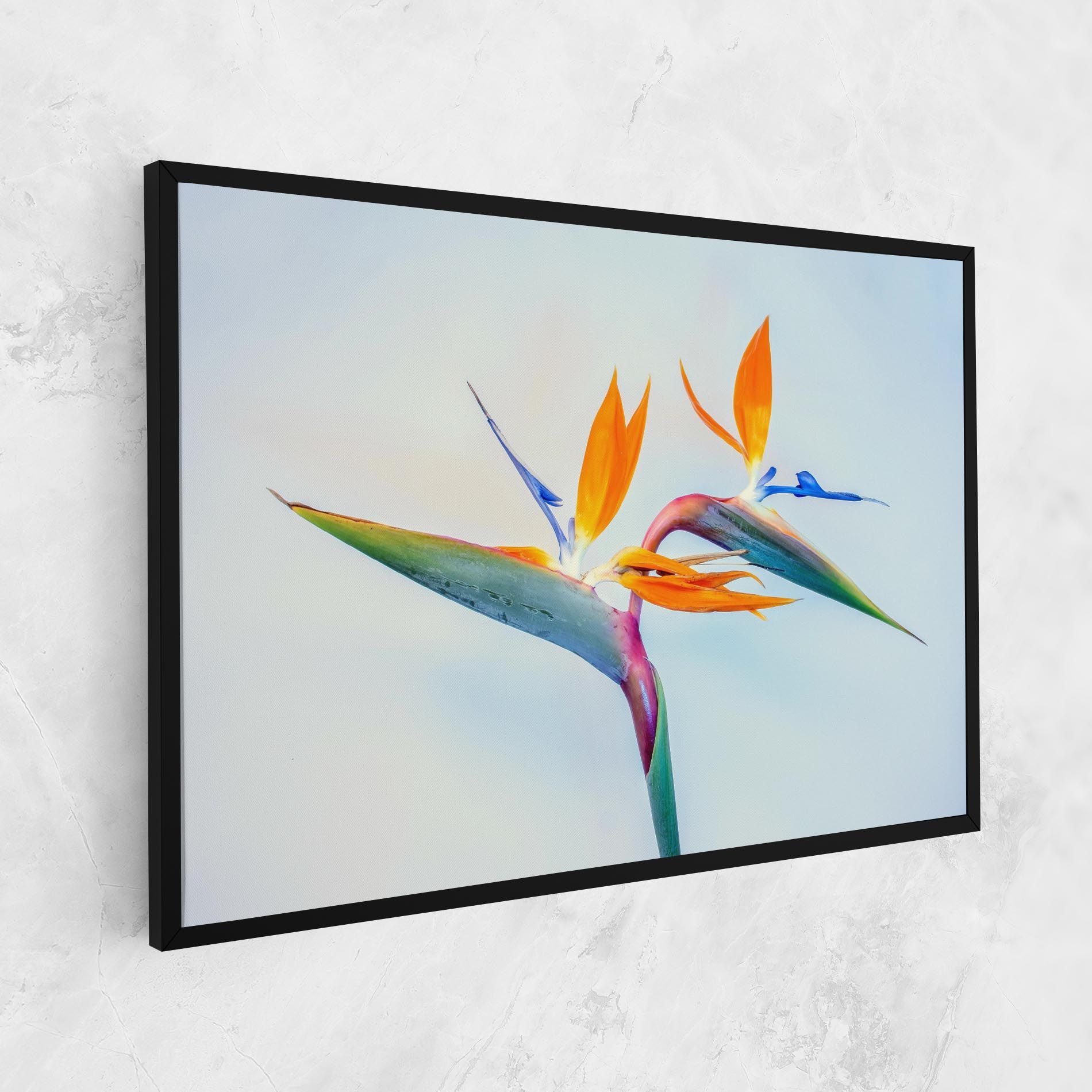 Green Orange Exotic mockup 1